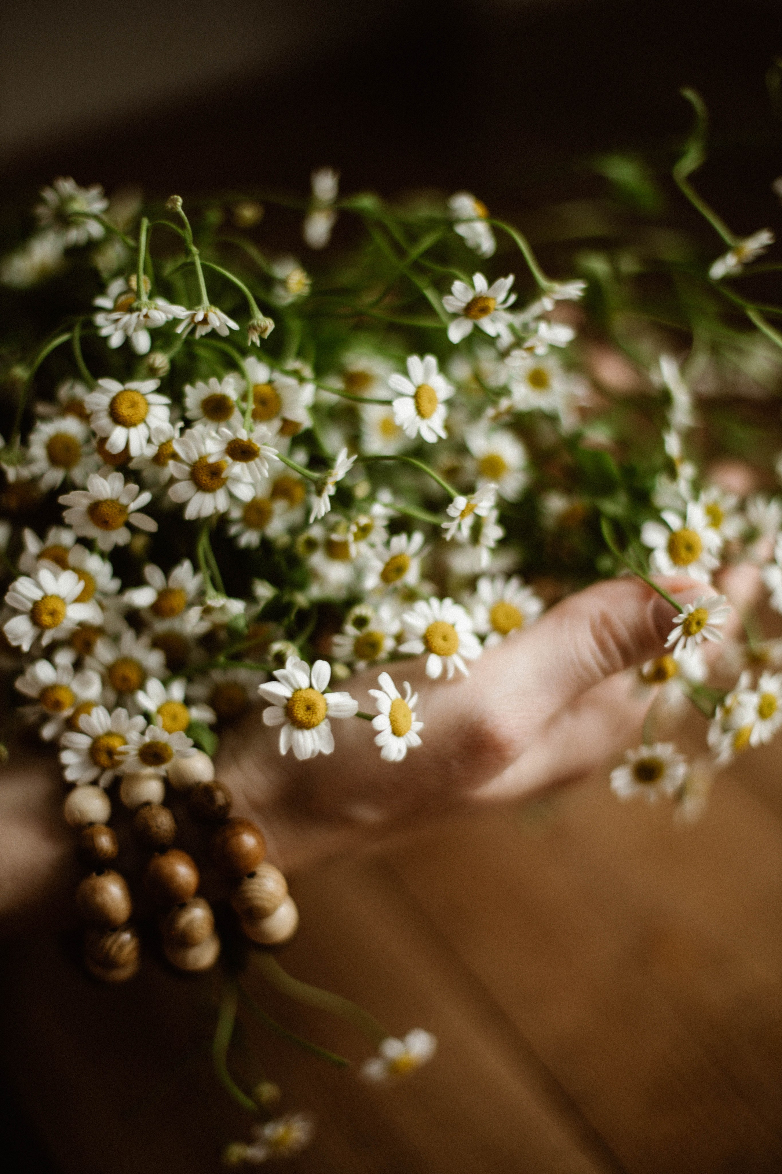 ДОМАшняя фотостудия. Фотограф в Нижнем Новгороде