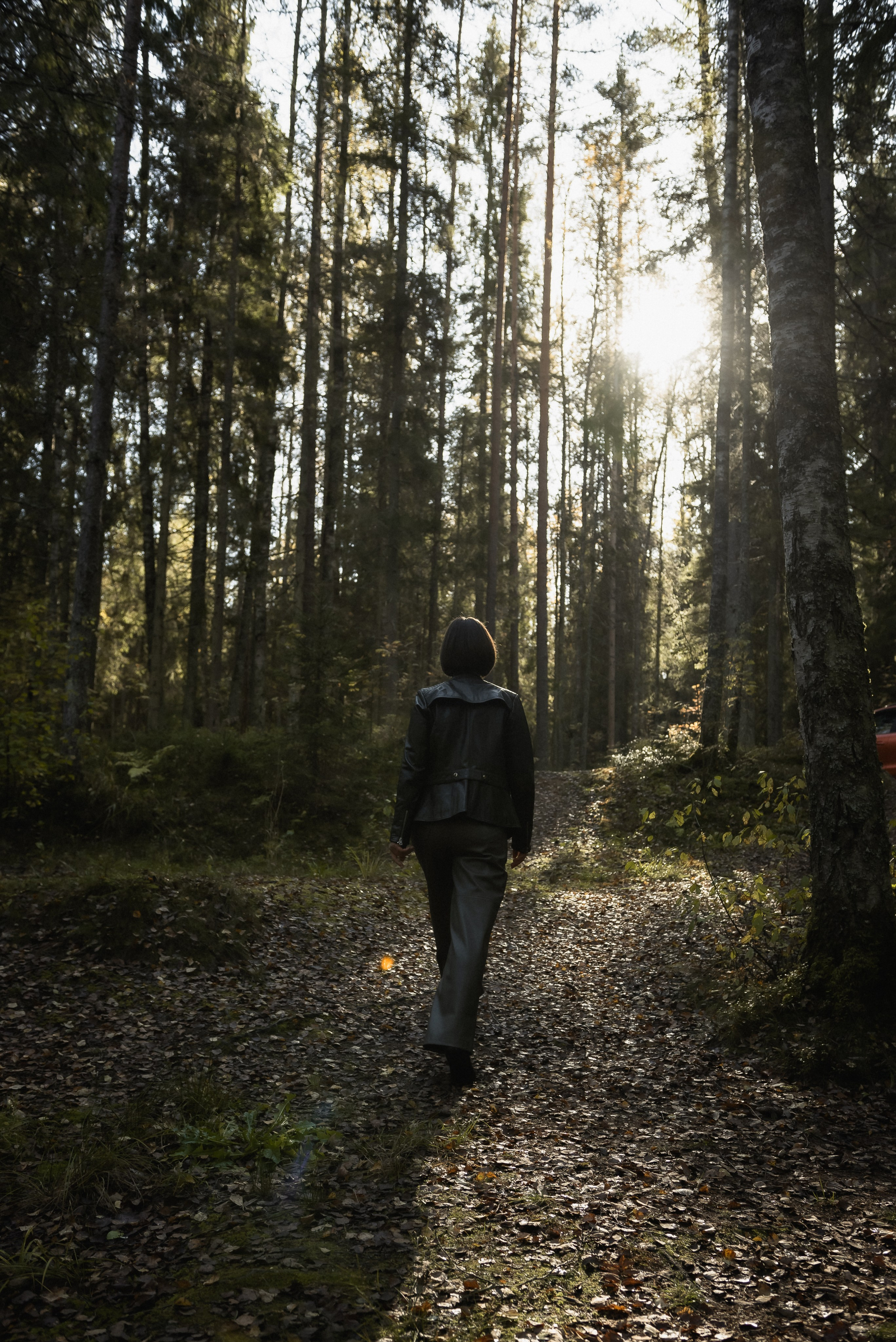 Осенний лес. КОНТЕНТ |БРЕНД фотограф Санкт-Петербург — Жанна Олтаржевская
