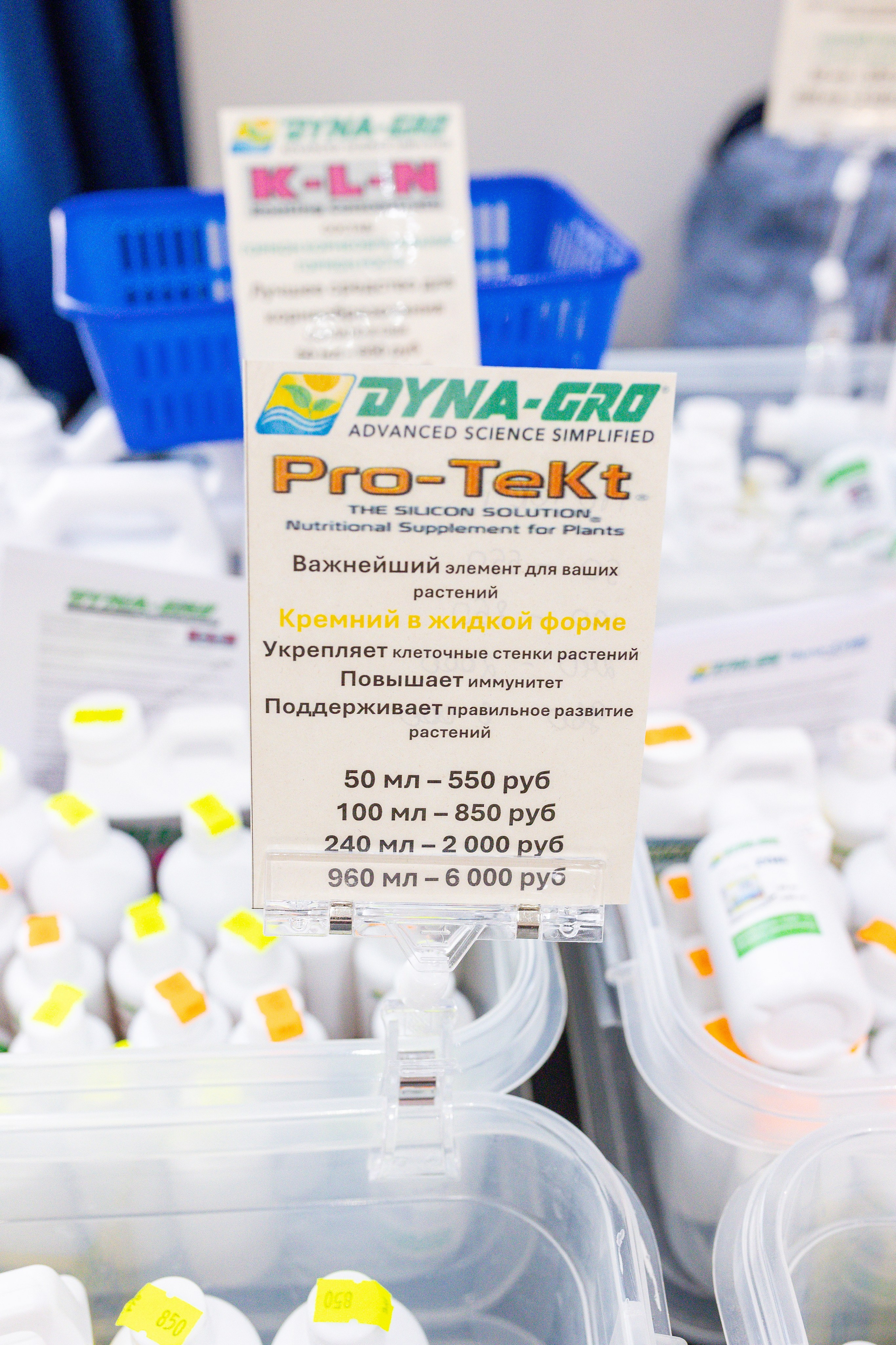 Монстериум 11–12 октября. Александра Куликова фотограф, Москва