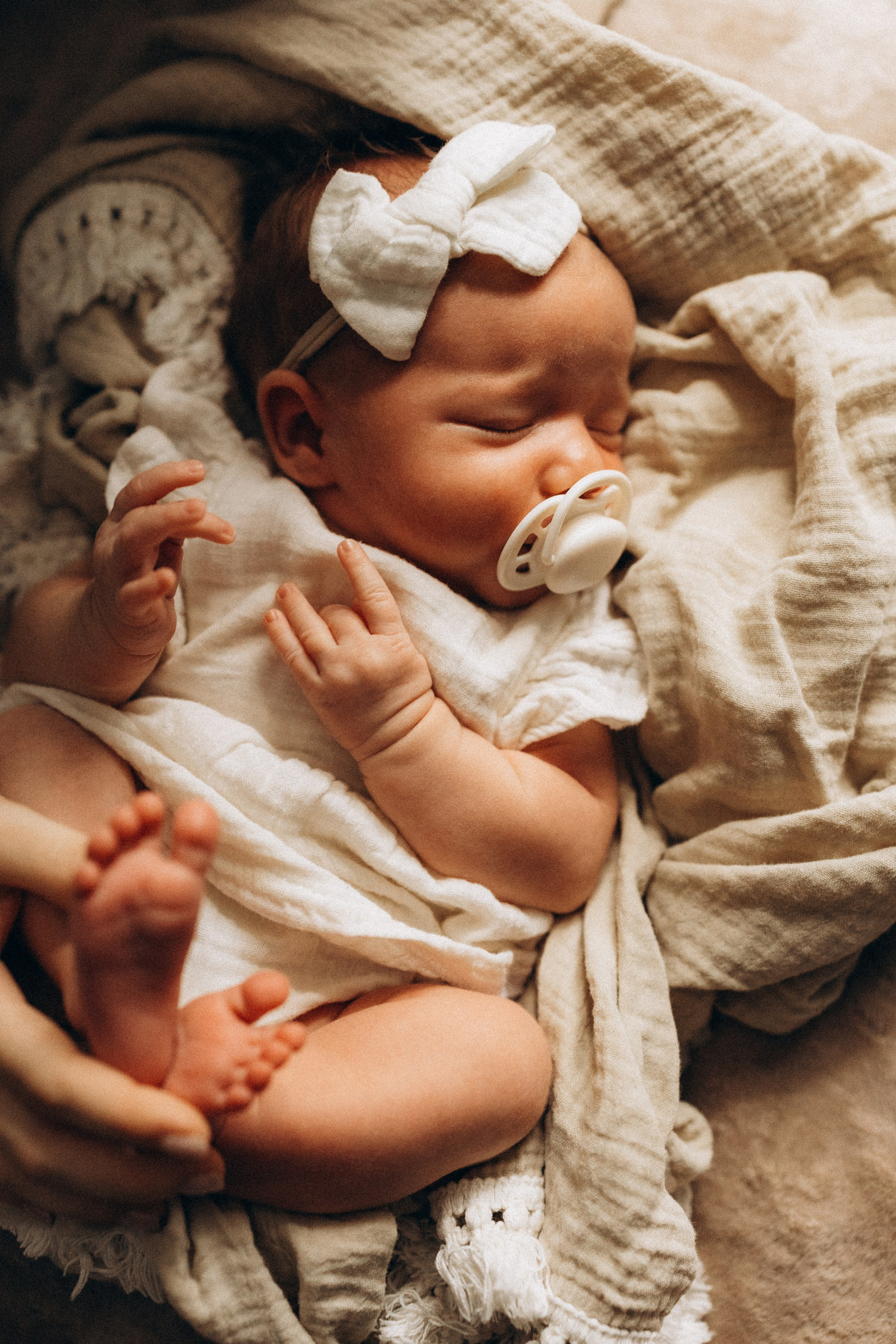 Василиса. Евгения Пелипас