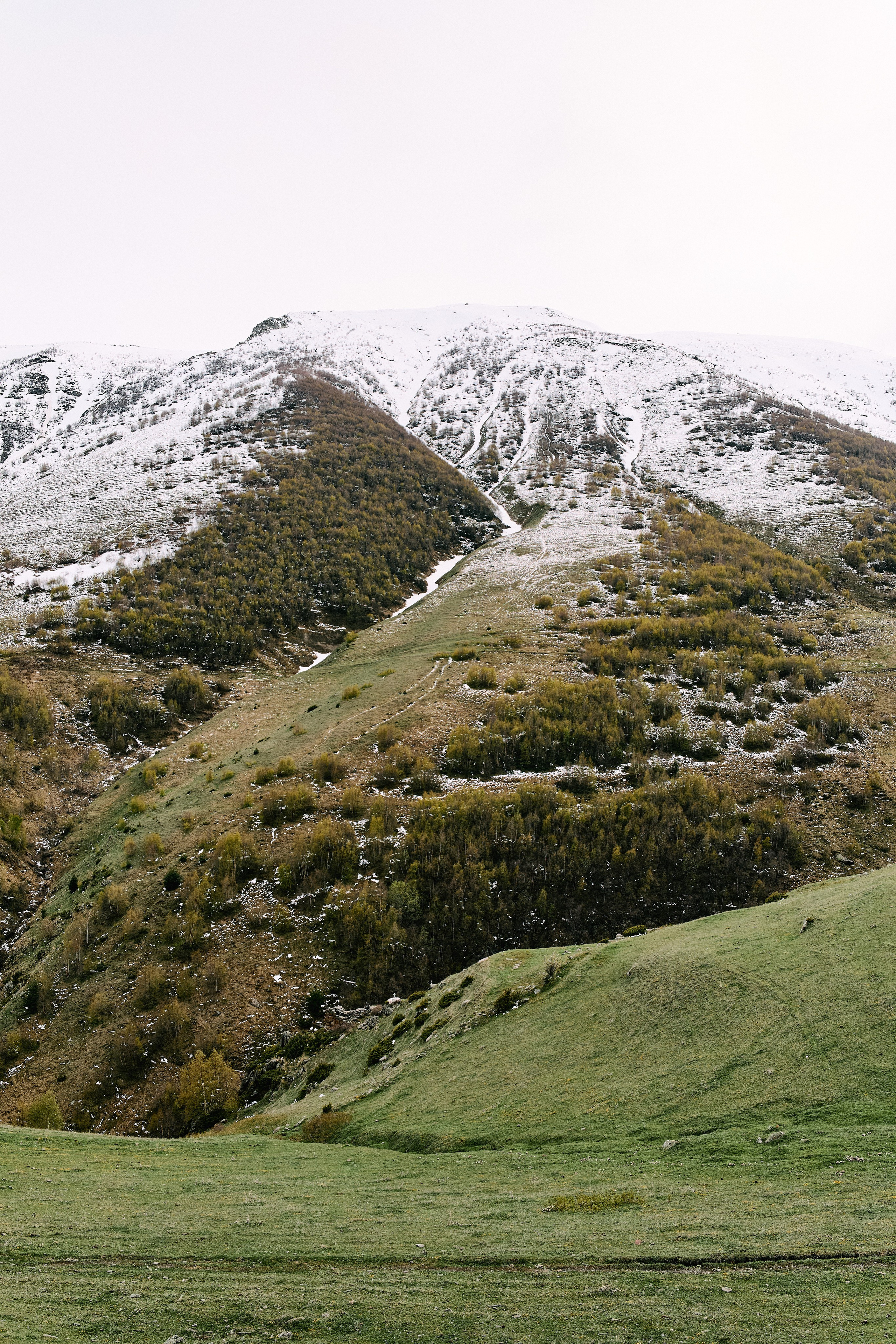 Грузия. Профессиональный Фотограф во Владимире, в Москве и в Суздале — Полина Романычева