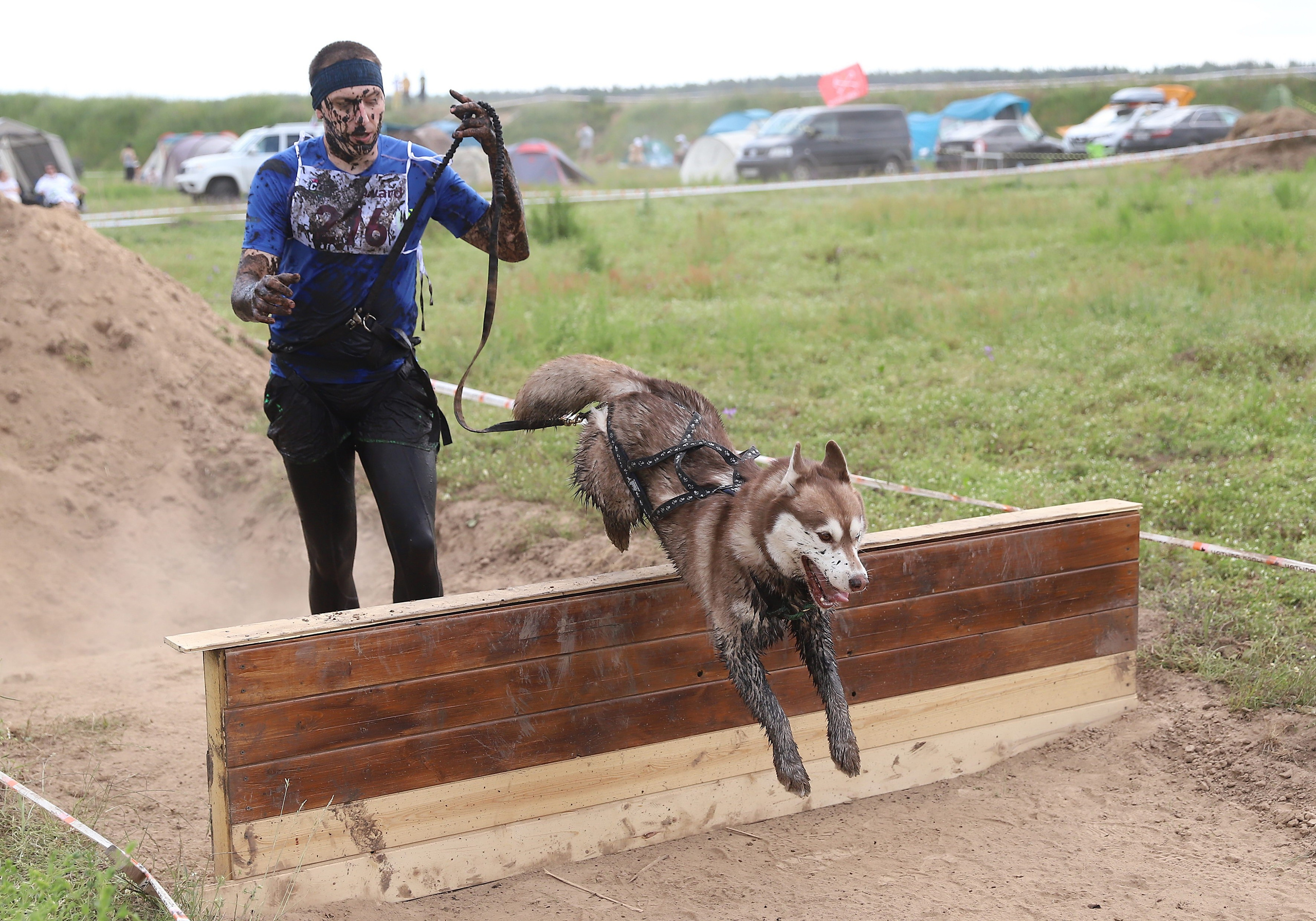 Хвостатый драйв. Семейный и детский фотограф в Москве и МО Елена Москвичева