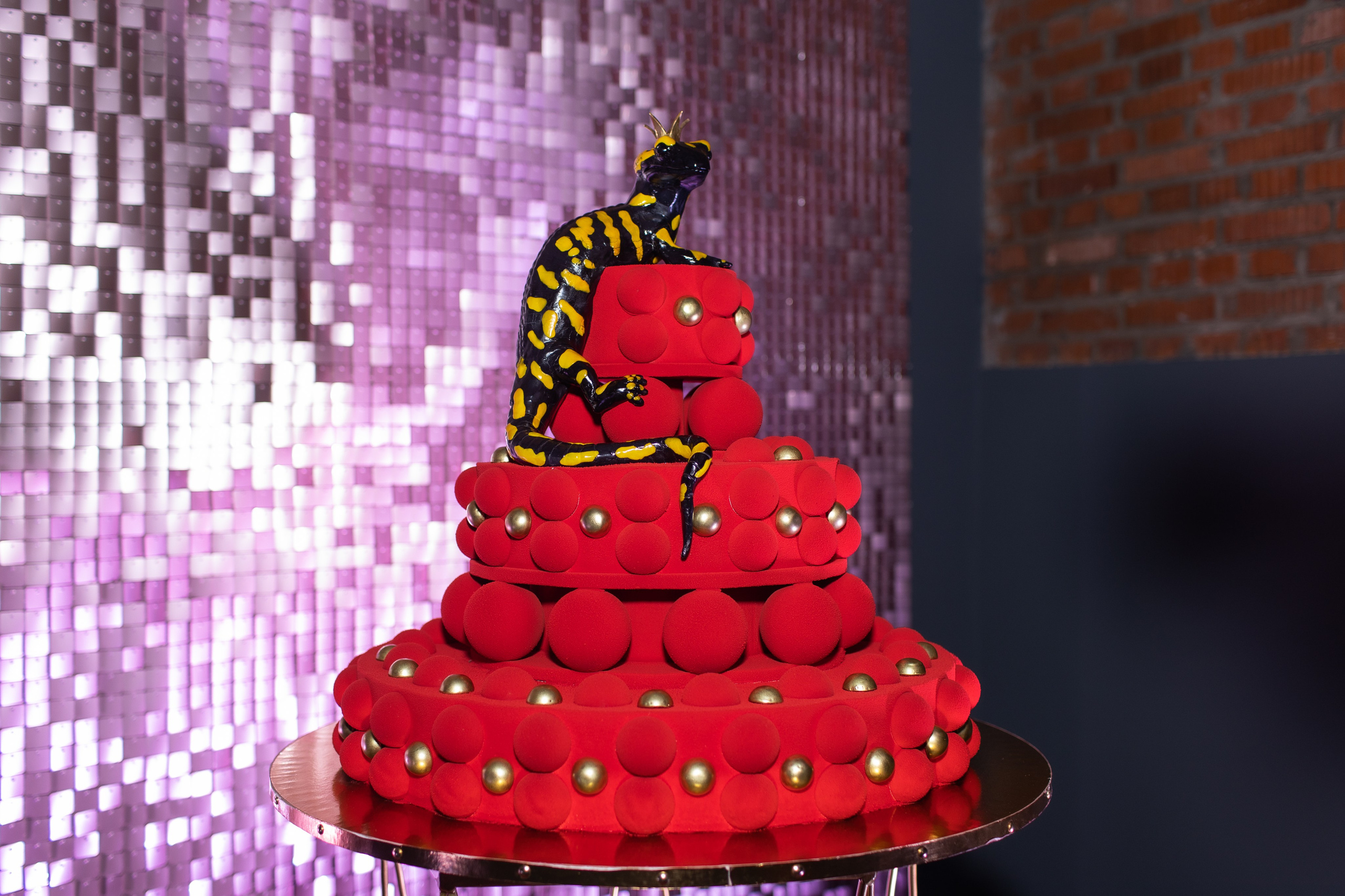 Happy Birthday Salamander. Фотограф в Москве Десятова Ксения