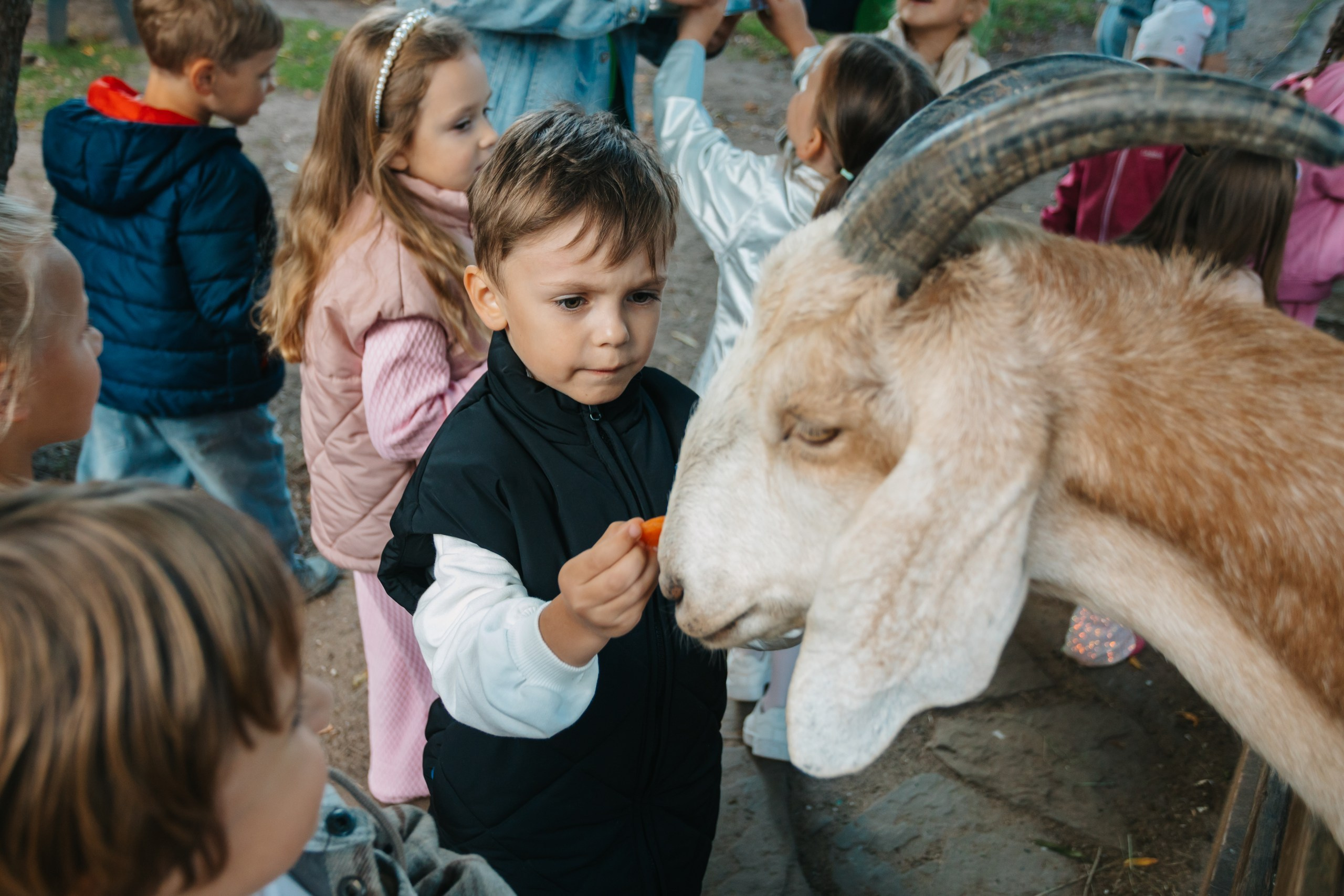 День рождения Марка. Андрей Партнов — фотогрраф, Москва