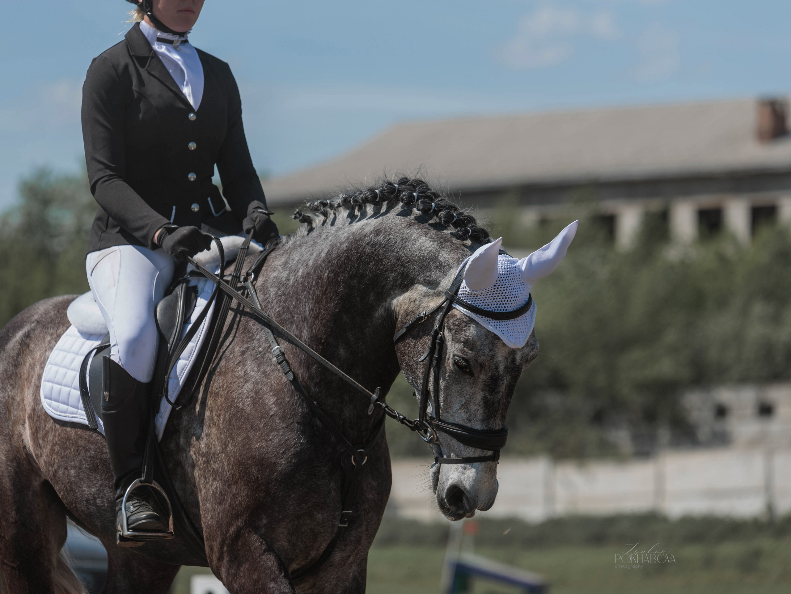 2025. Конный фотограф в Красноярске — Любовь Похабова