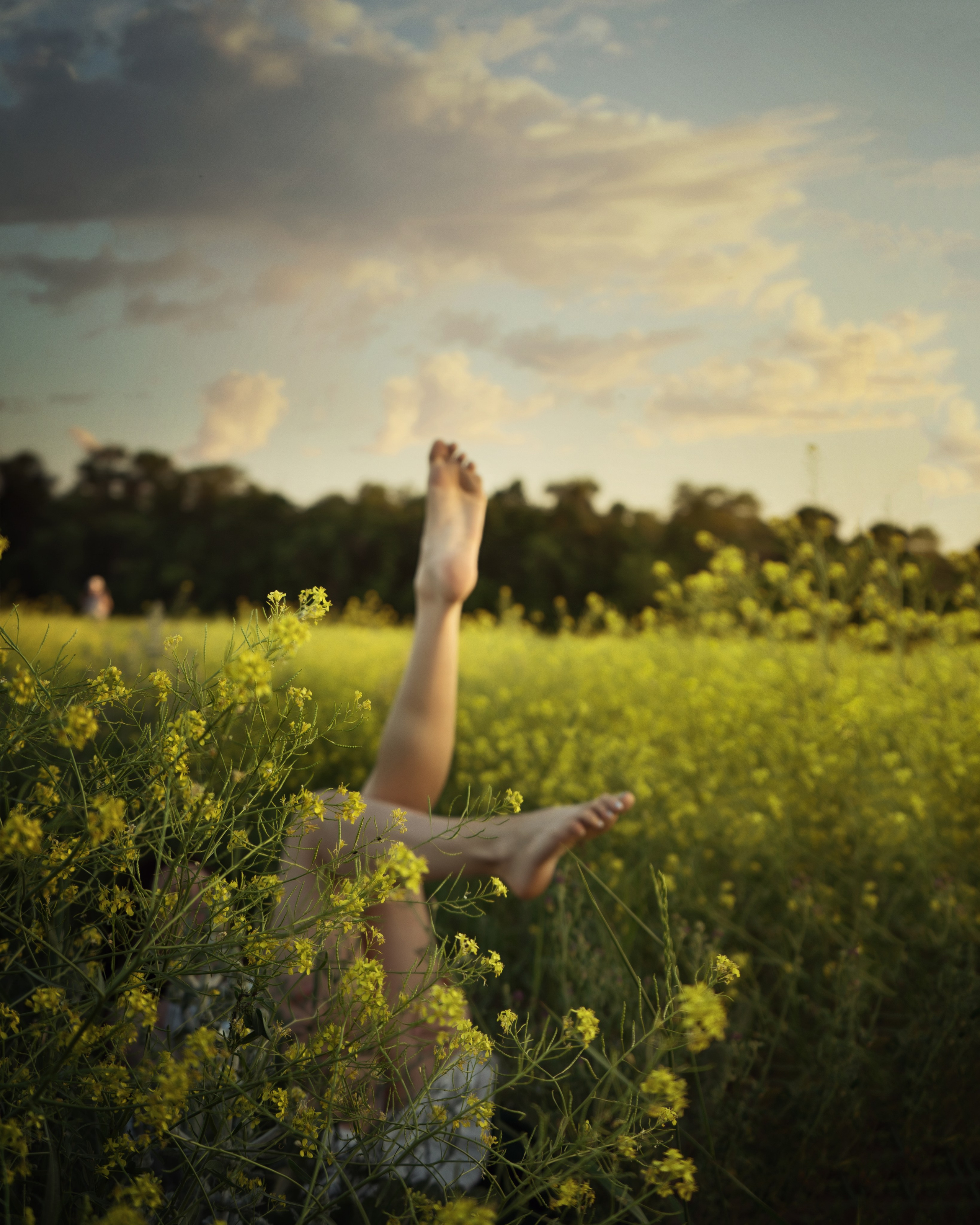 Катерина. В поле. Семейный фотограф, женский фототерапевт