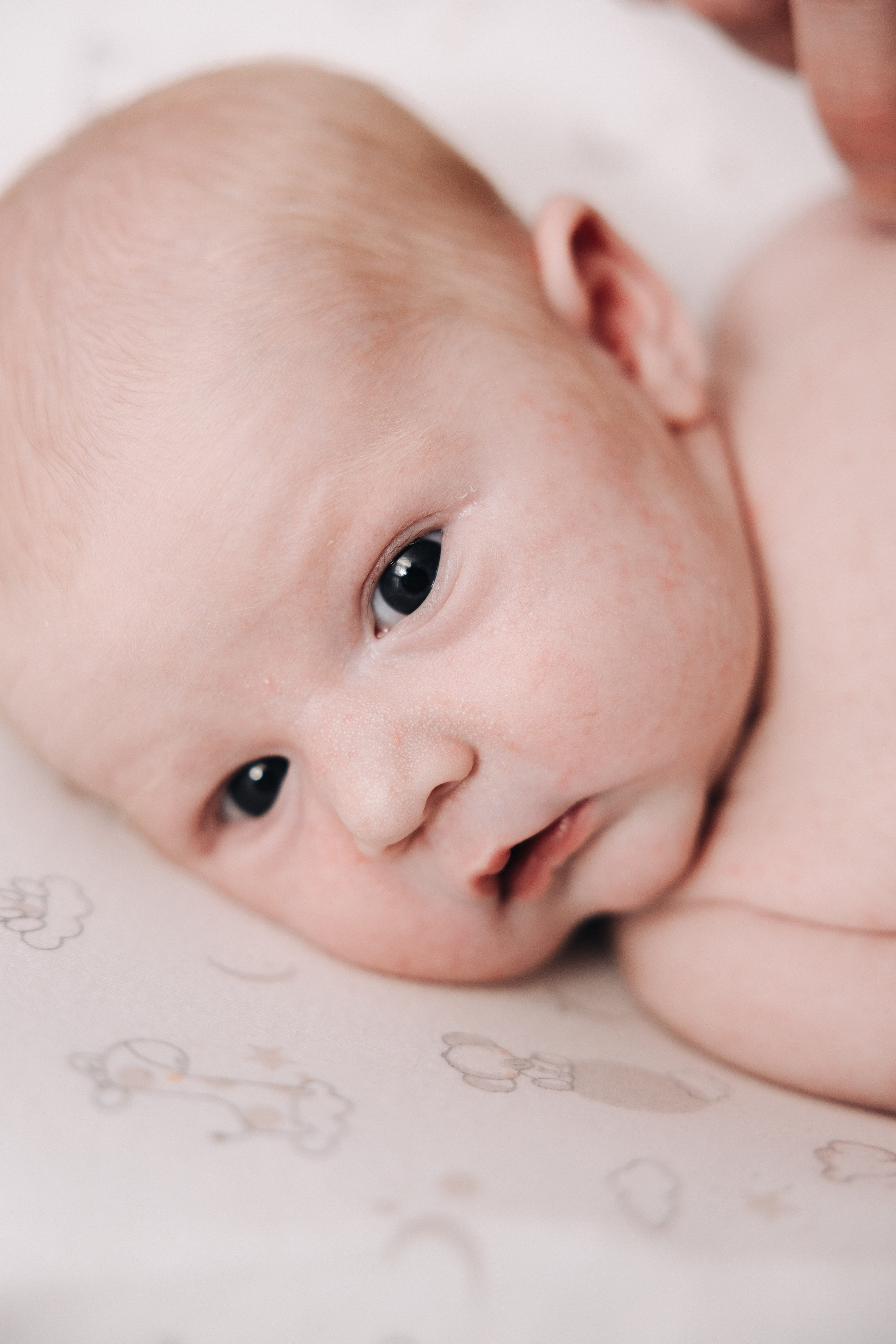 Семья с младенцем. Фотограф Александр Герасимов