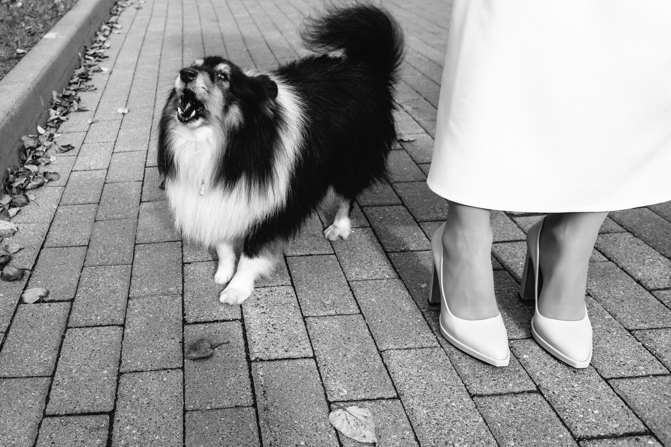 Антон и Анастасия. Свадебный фотограф Роман Медведев , Минск, Беларусь