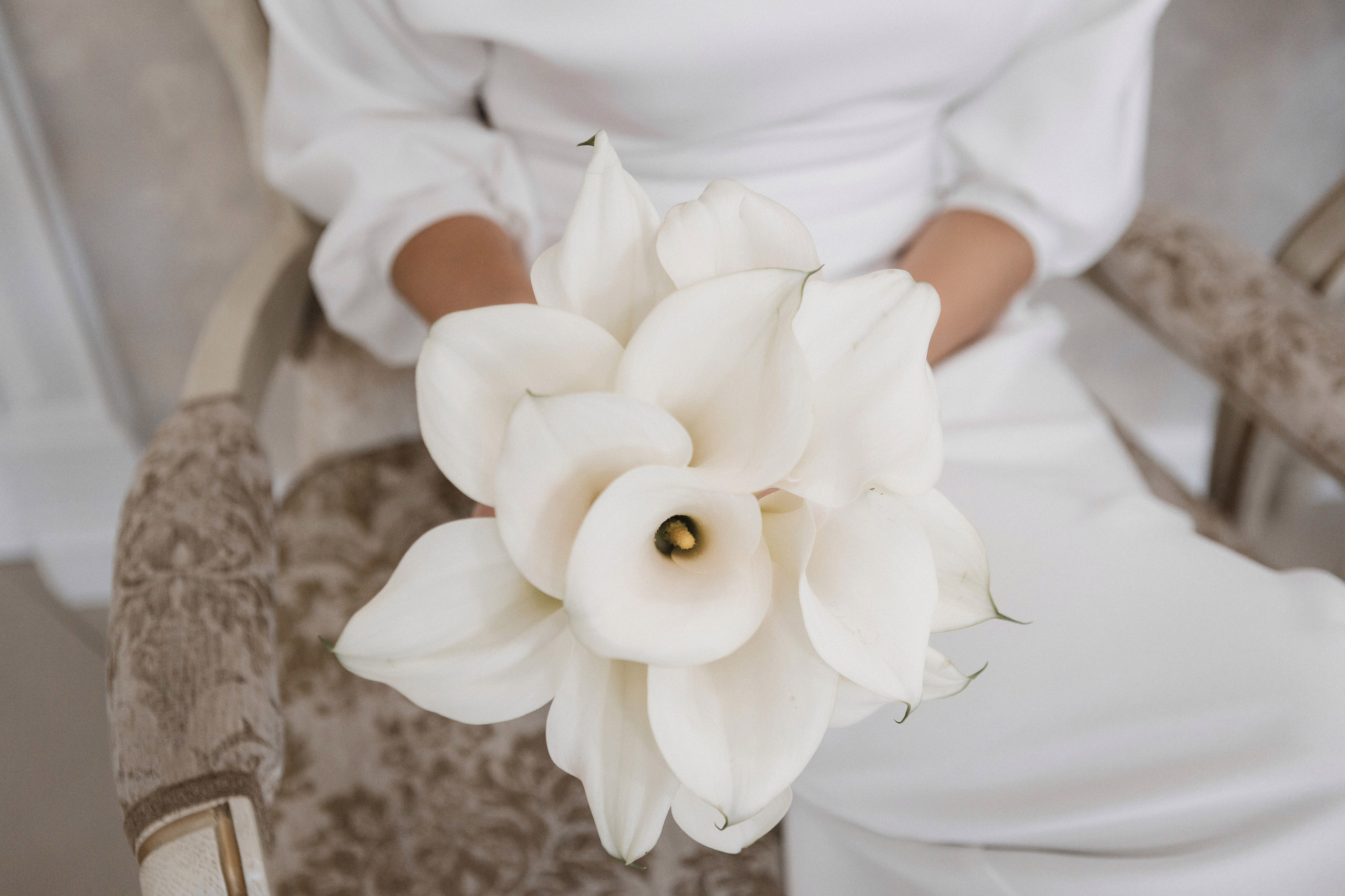 Антон и Анастасия. Свадебный фотограф Роман Медведев , Минск, Беларусь