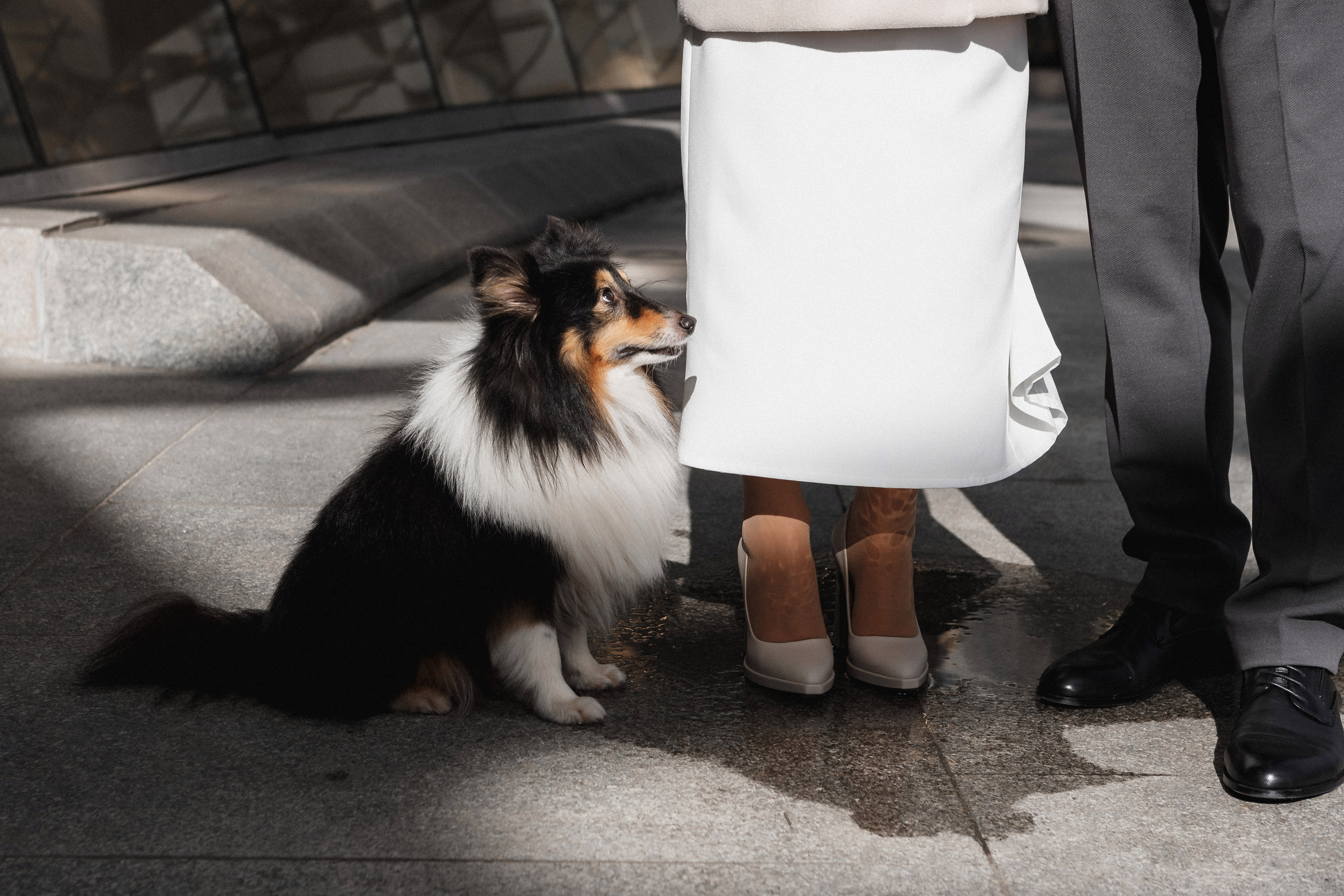 Антон и Анастасия. Свадебный фотограф Роман Медведев , Минск, Беларусь