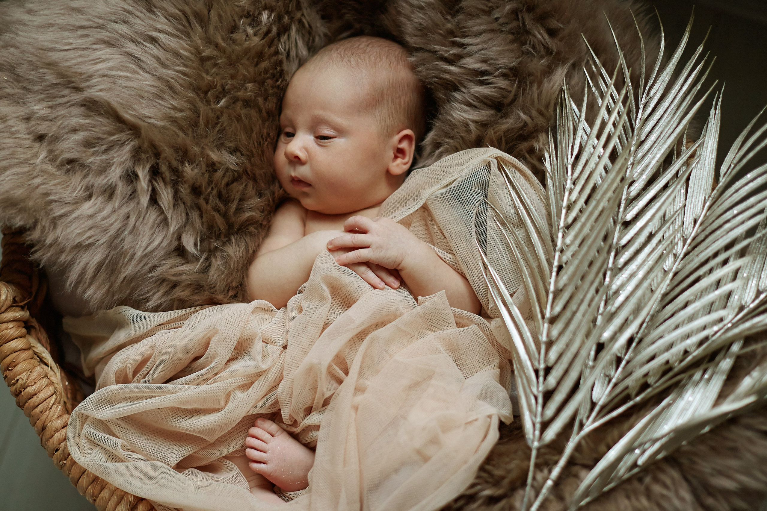 Есения. Фотограф Ольга Ефремова