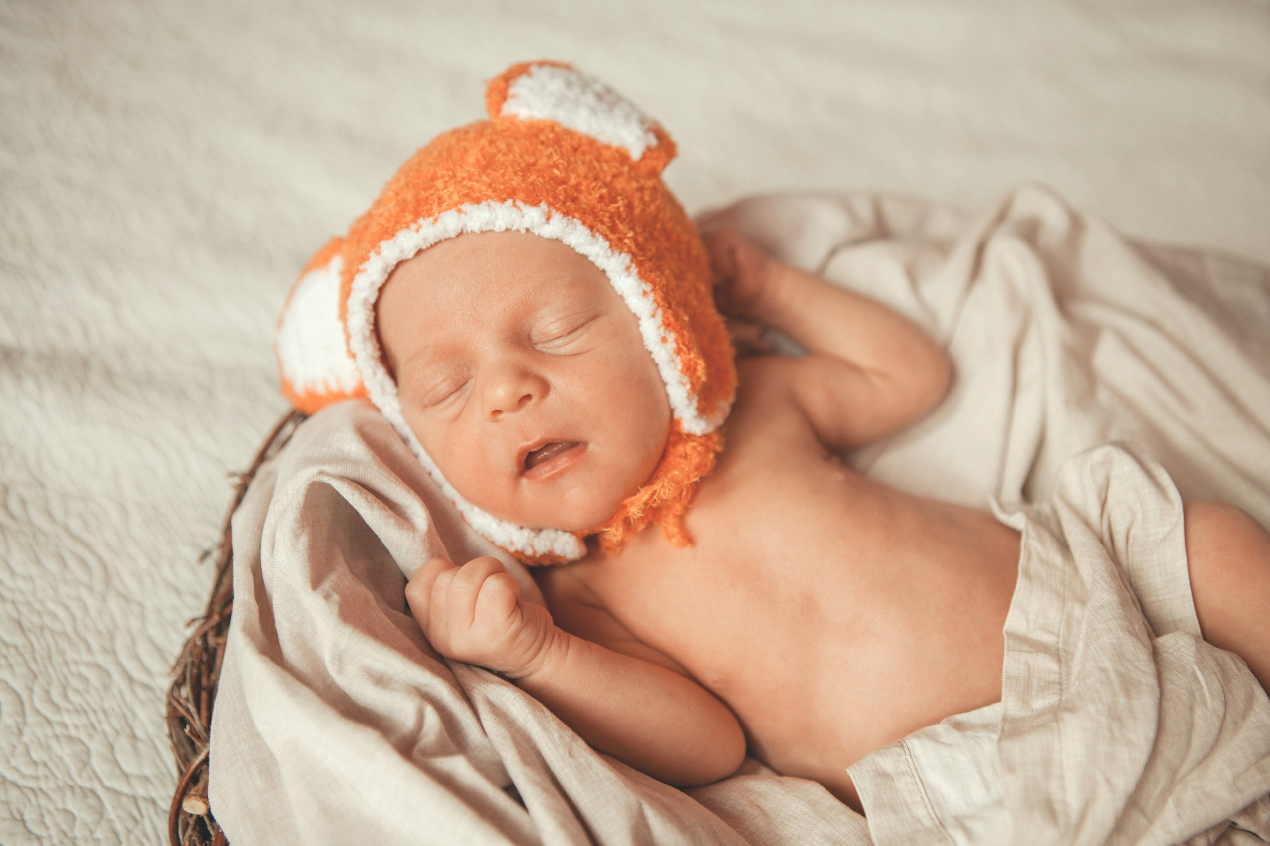 Гордей. Фотограф Ольга Ефремова