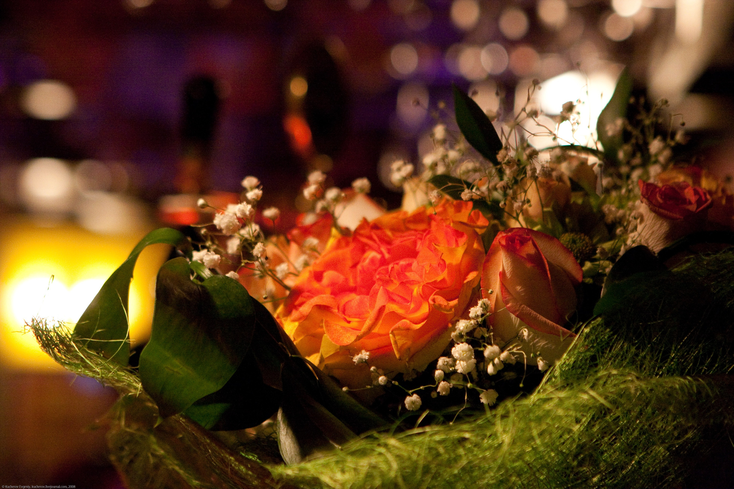 Отдых. Кучеров Евгений. Фотограф