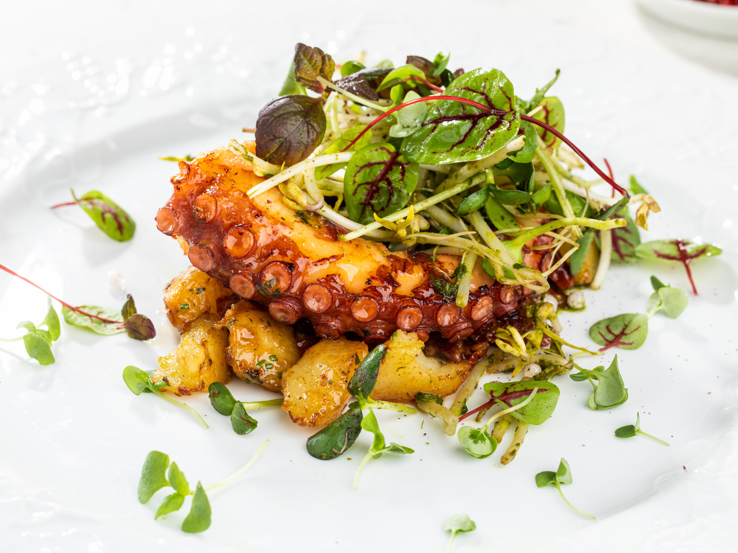 Sabor De La Vida. Фудфотограф, фудстилист и сет дизайнер в Москве Алена Синицына