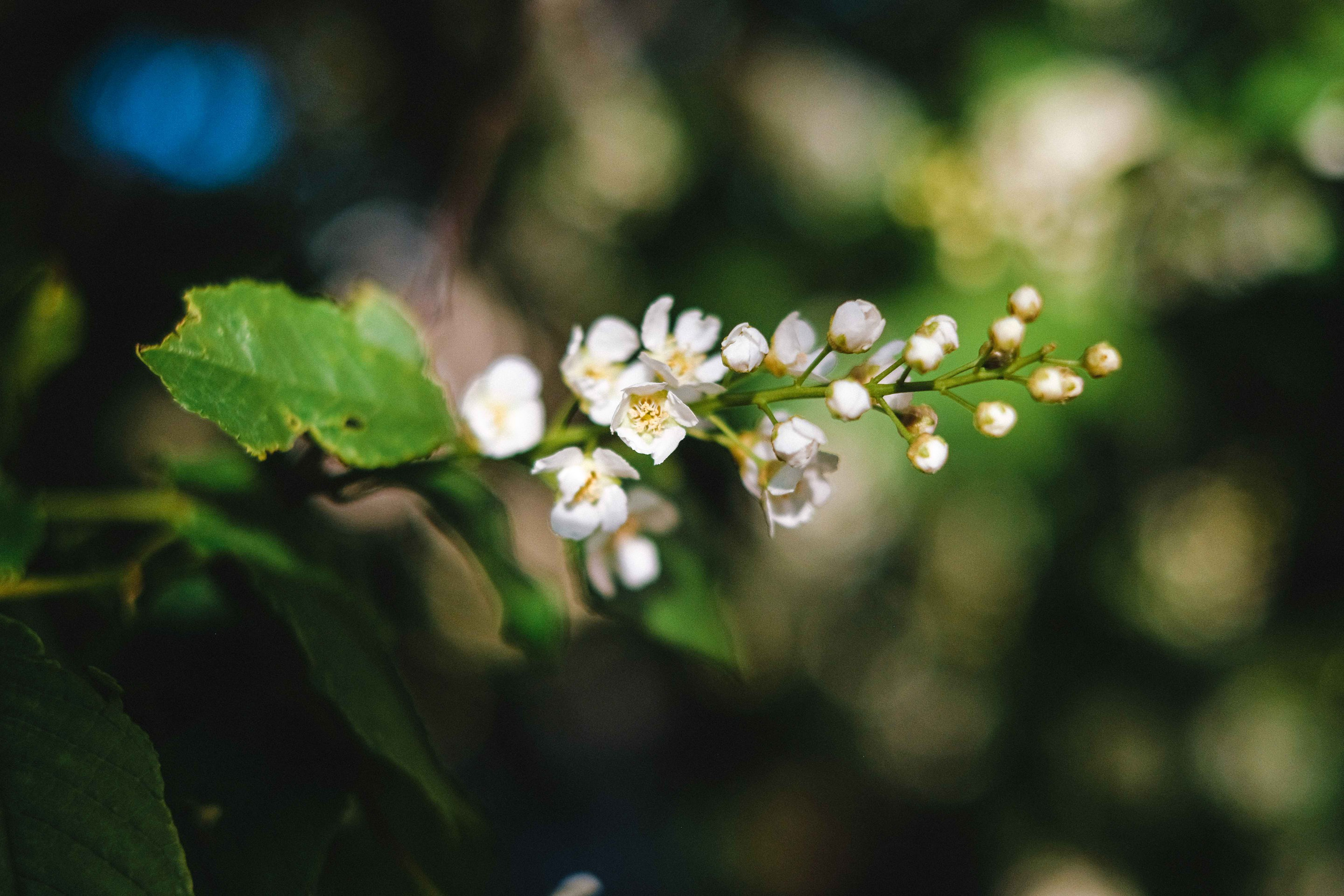 2022.05. Фотограф Алексей Алексеев