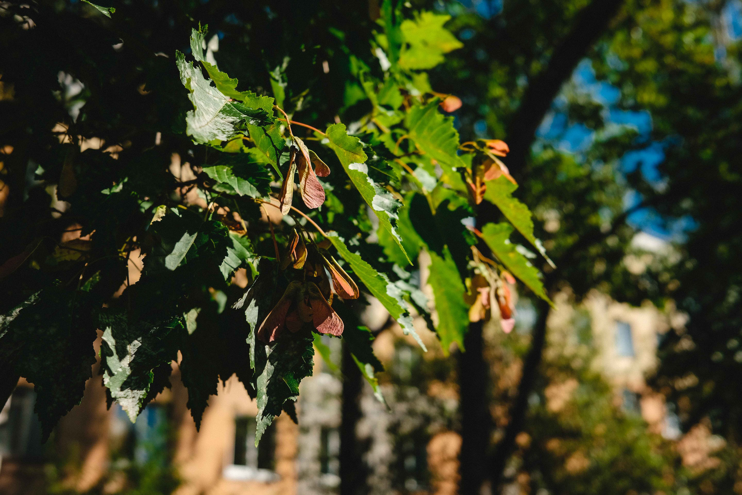 2023.08. Фотограф Алексей Алексеев