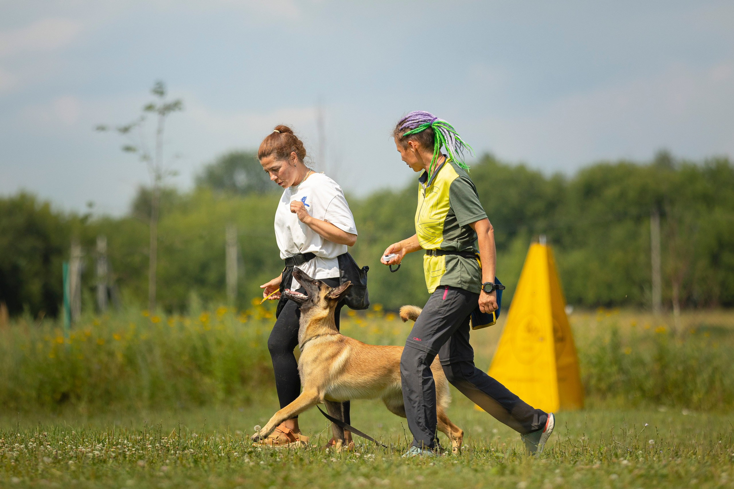 ЗКС. Фотограф анималист, семейный фотограф, фотограф собак Комратова Мария. г. Москва