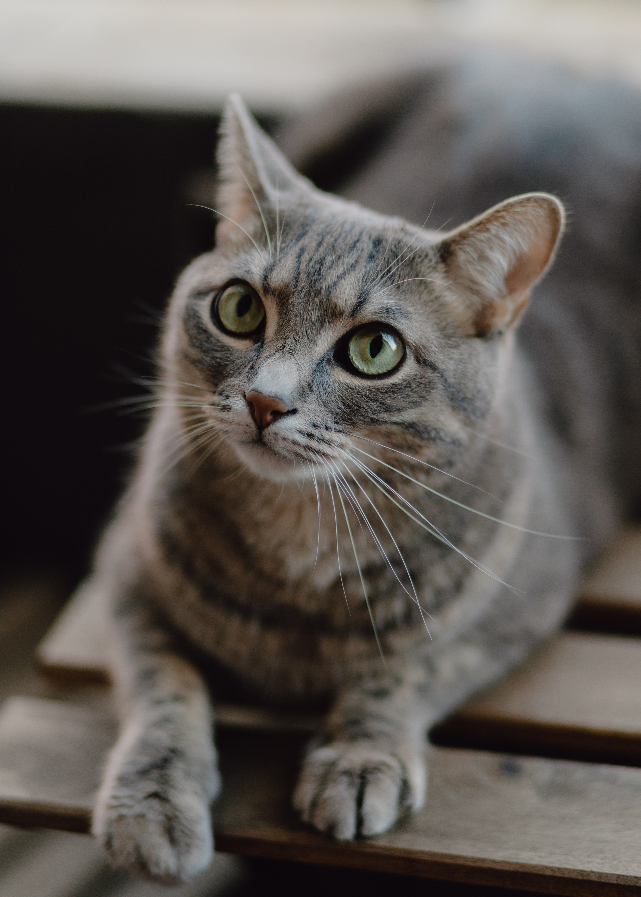 Flower Workshop. Barbara Isaeva