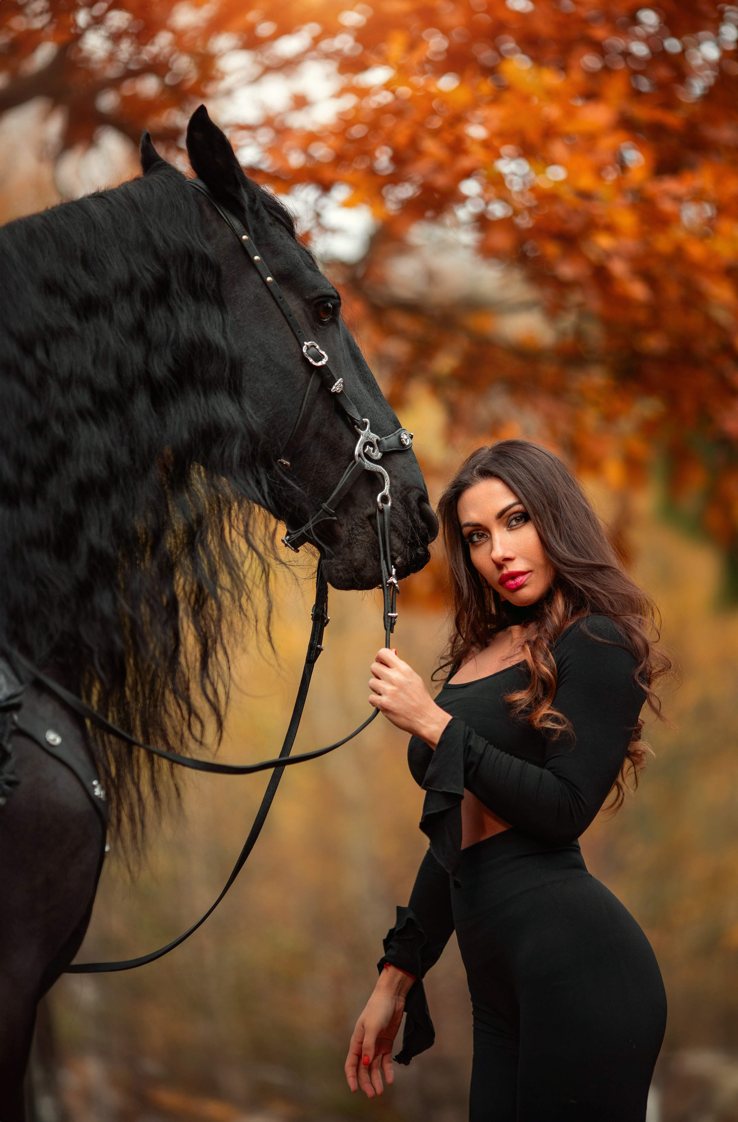 Девушка с лошадью в осеннем лесу — фотосессия с лошадью