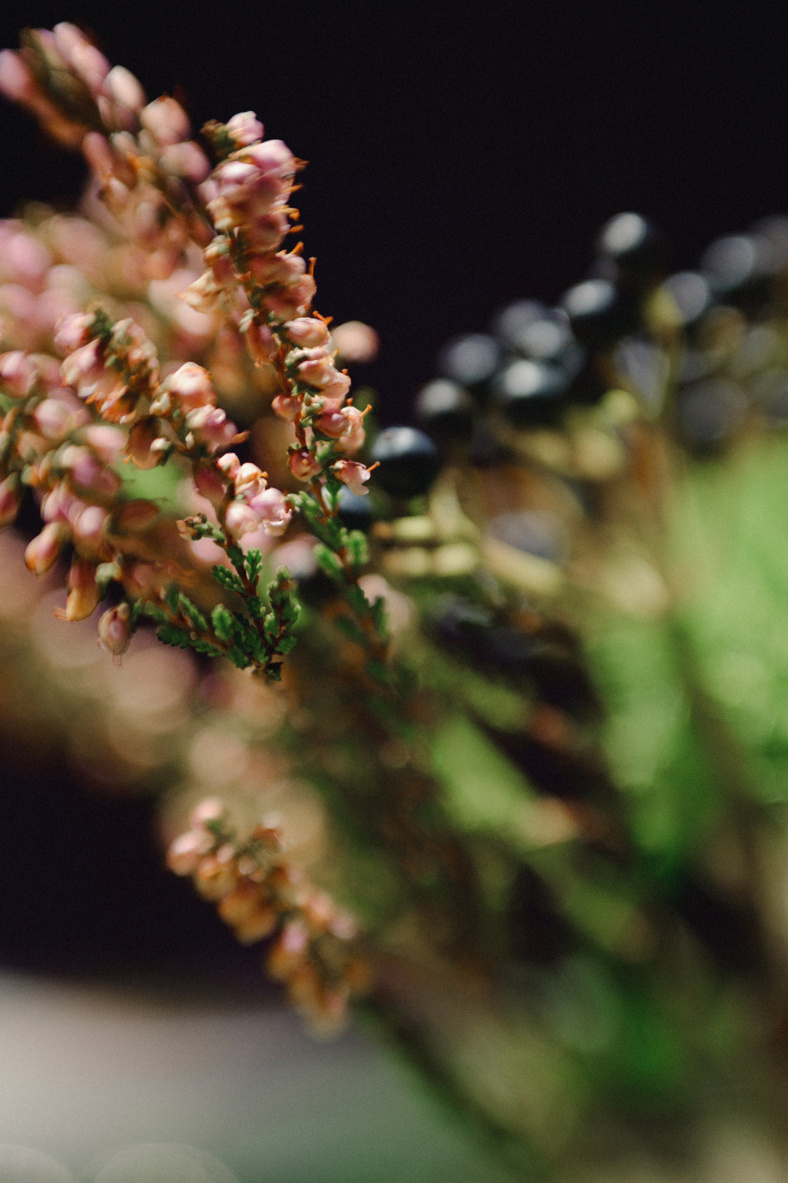 АЛЁНА И ДЕНИС. Свадебный и семейный фотограф Никита Корохов