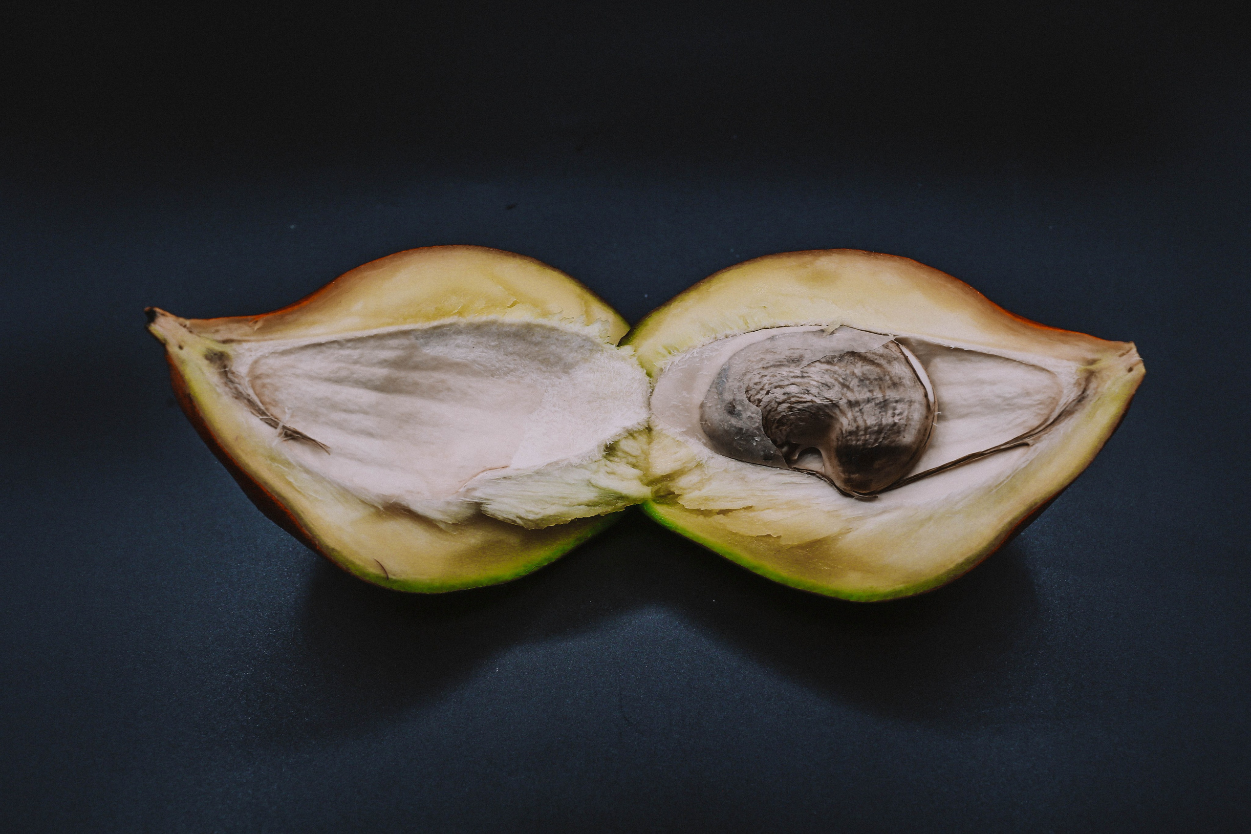 Предметная съемка. Твой снимок СПб