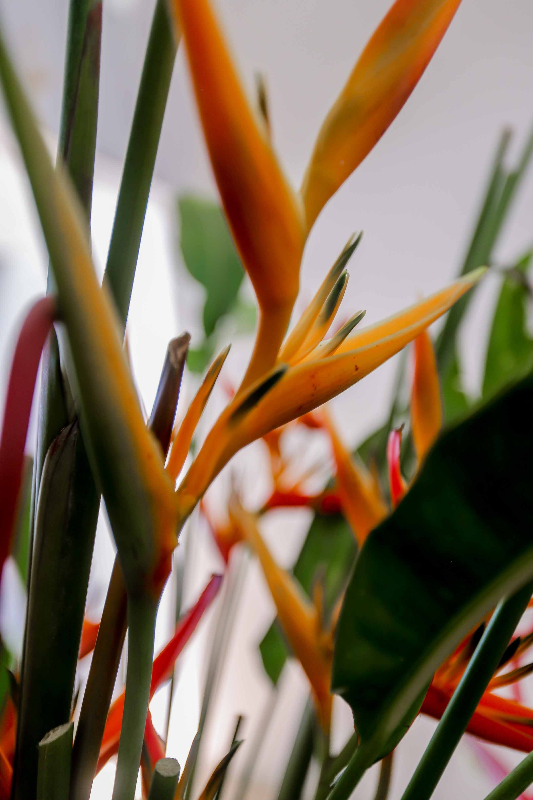 Отель пляж Хабарадува. Фотограф на Шри-Ланке