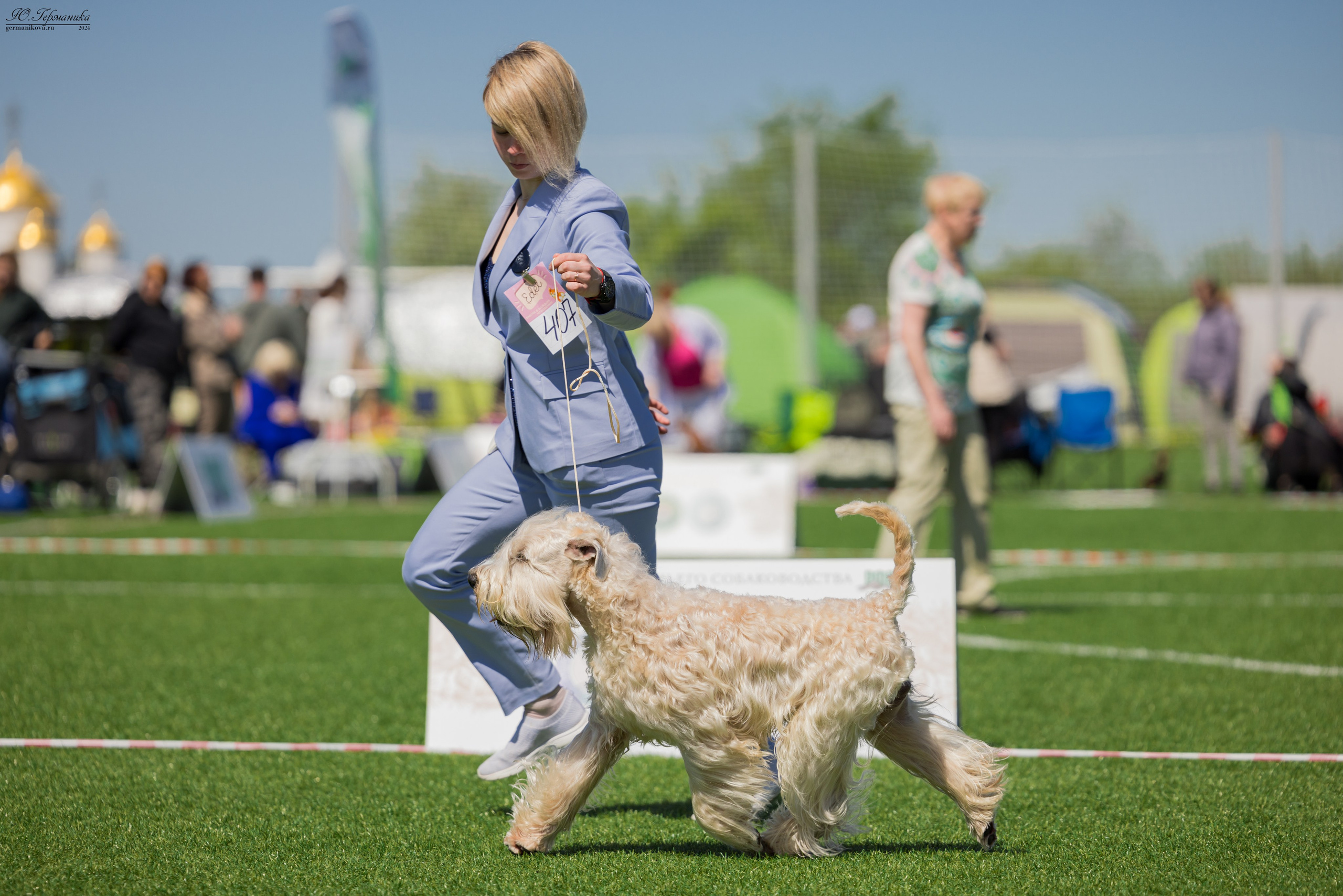Суздаль 18-19.05.2024. Фотограф-анималист Юлия Германика