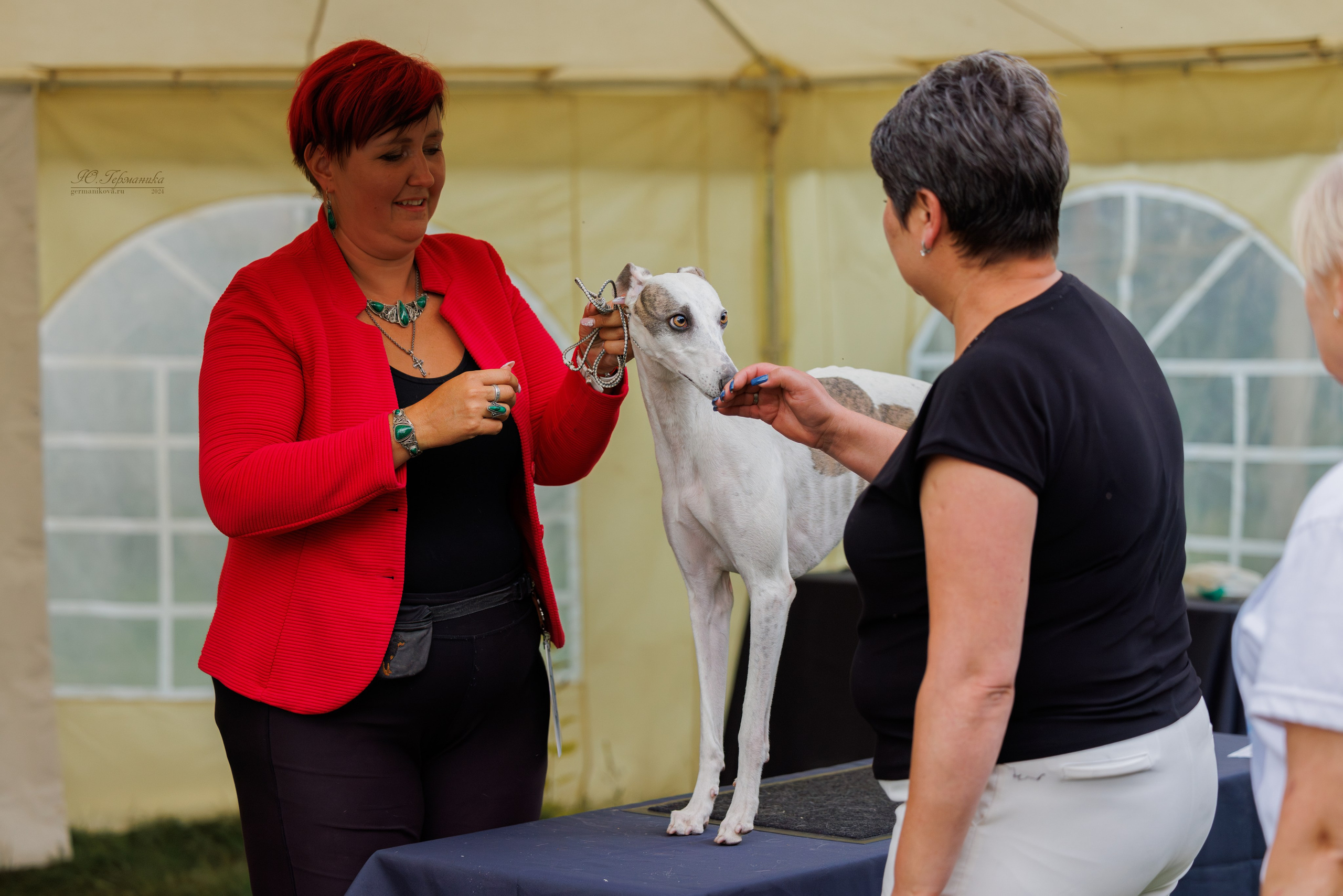 Астана 2хCACIB 17-18.08.2024. Фотограф-анималист Юлия Германика