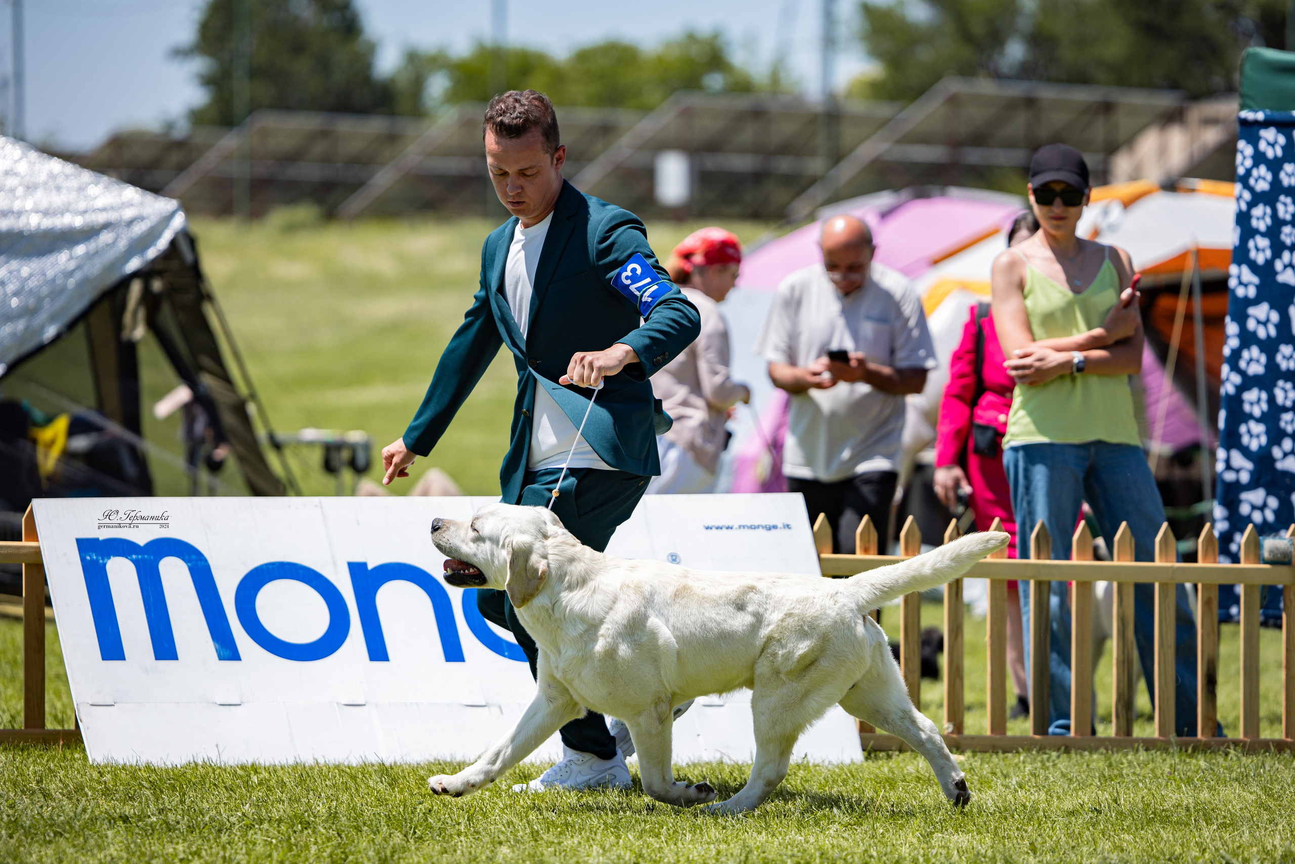 Ереван 3-5.06.2024. Фотограф-анималист Юлия Германика