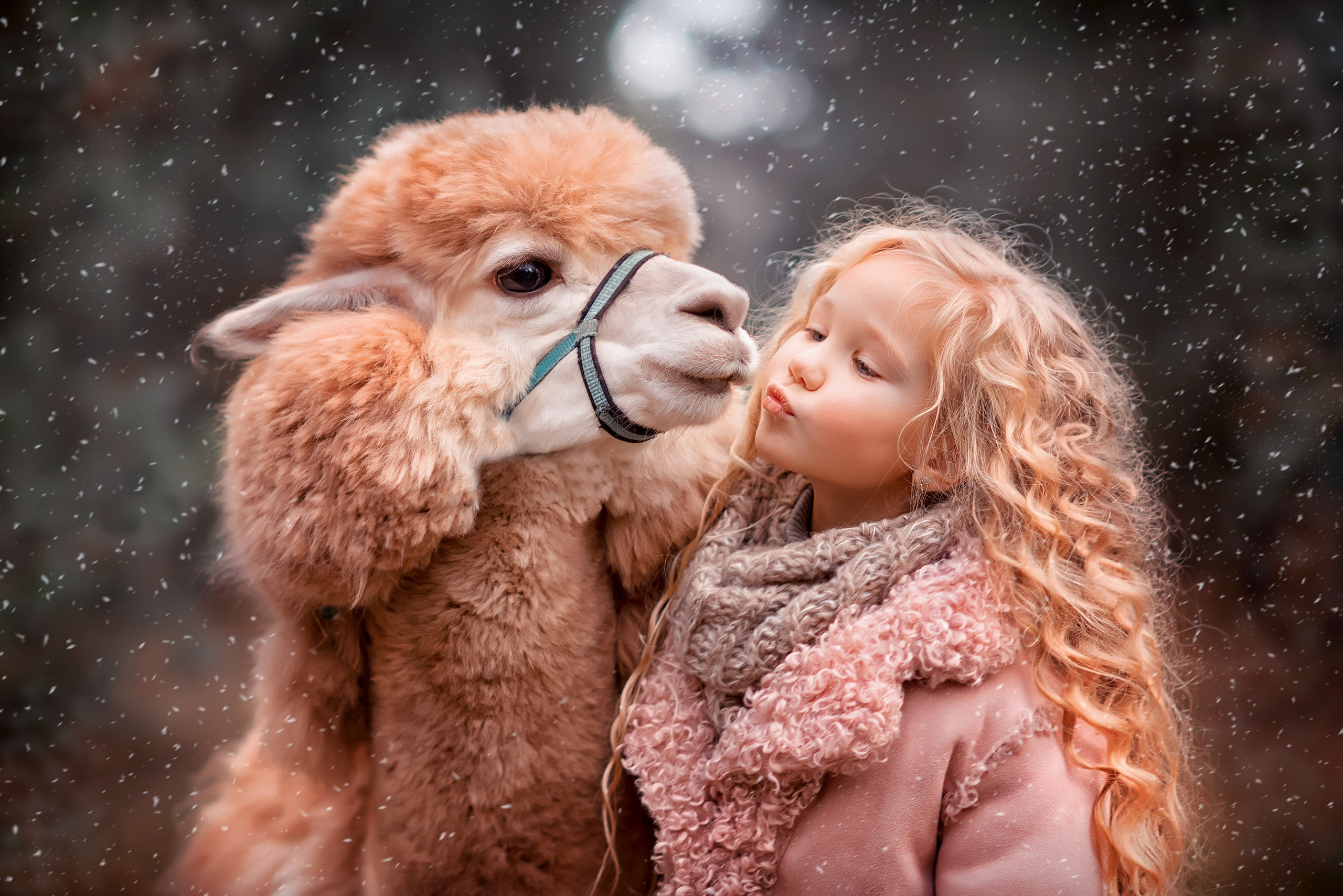 Обучение фото