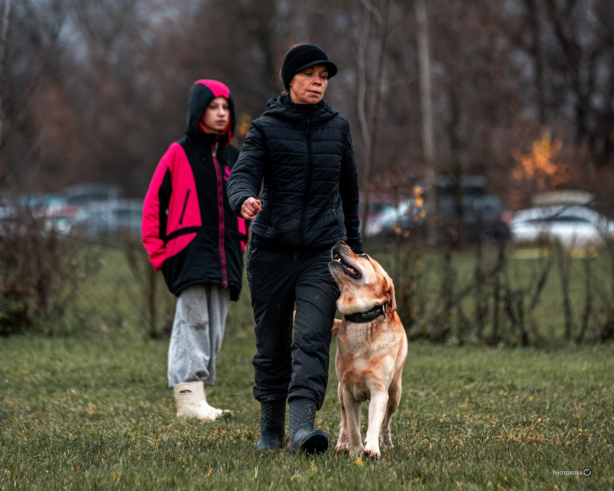 МЫ — КОМАНДА (соревнования) OKD, BH, IBGH, IGP. Фотограф-анималист, семейный фотограф в Москве и Подмосковье. Фотосъёмка кинологических дисциплин