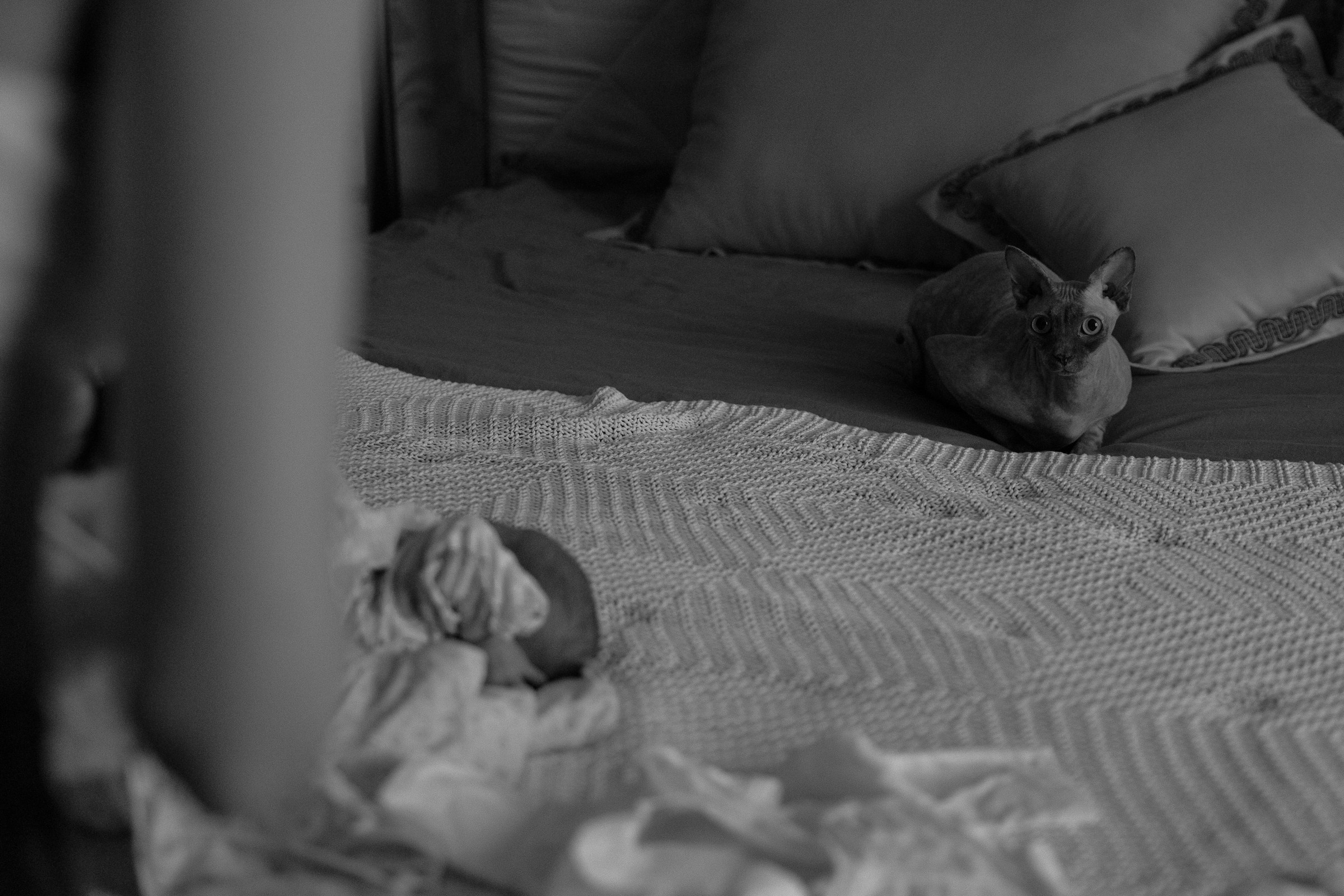 Месяц Александре. Фотограф Москва