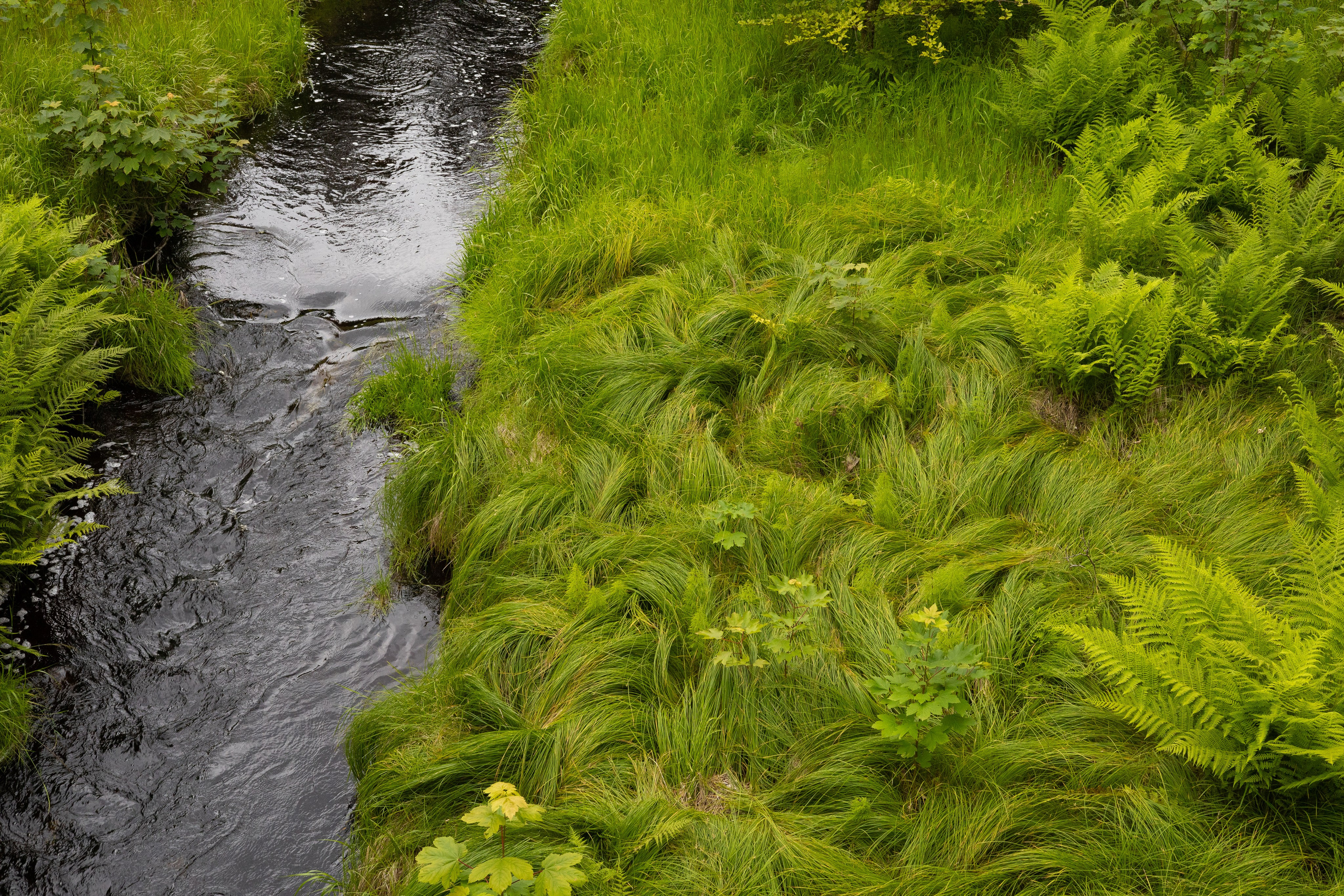 Bischofsgrün. ITMAG.ME | Visual Art