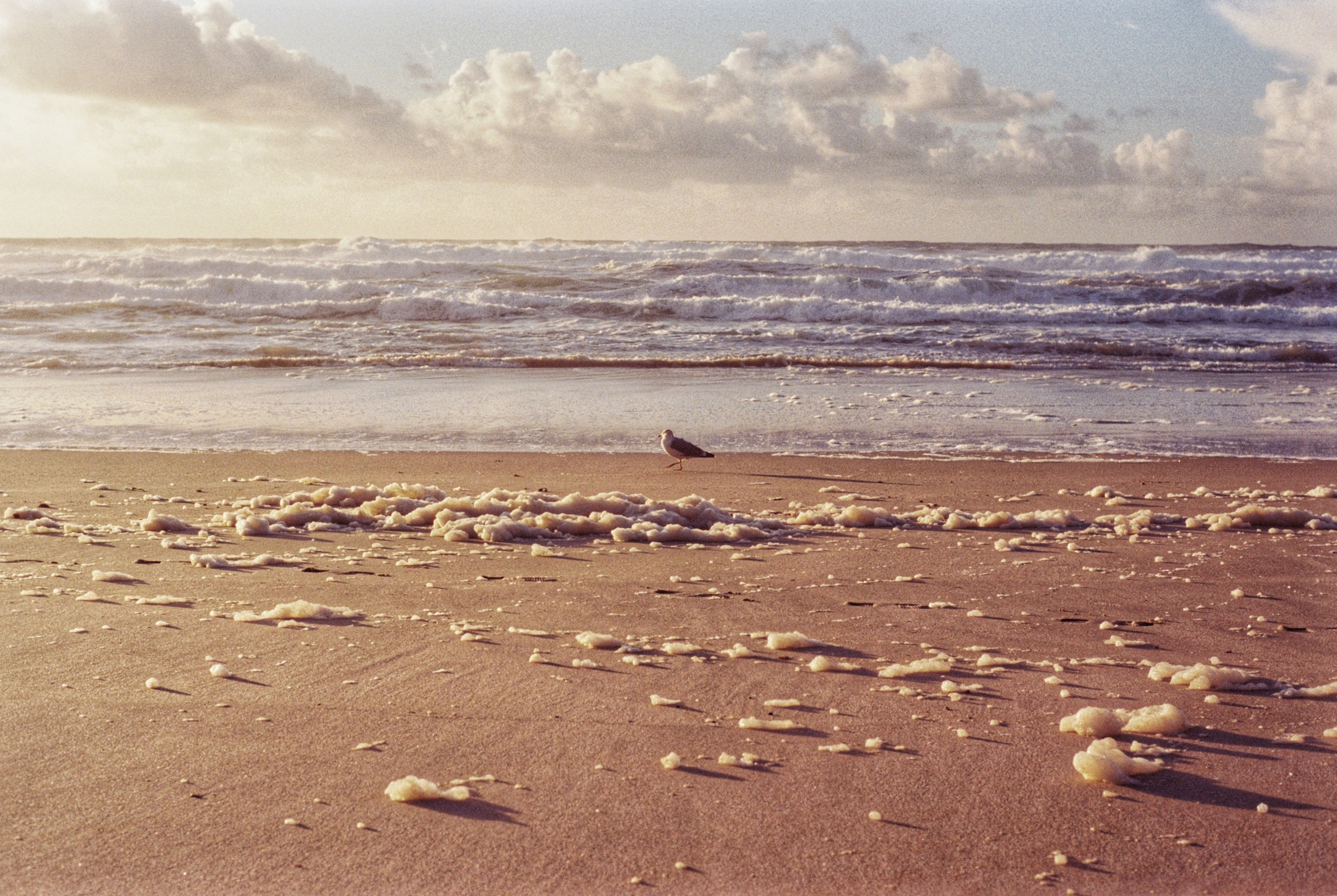 Margarita Rodionova — a contemporary lens-based artist currently working in Cancun, Mexico