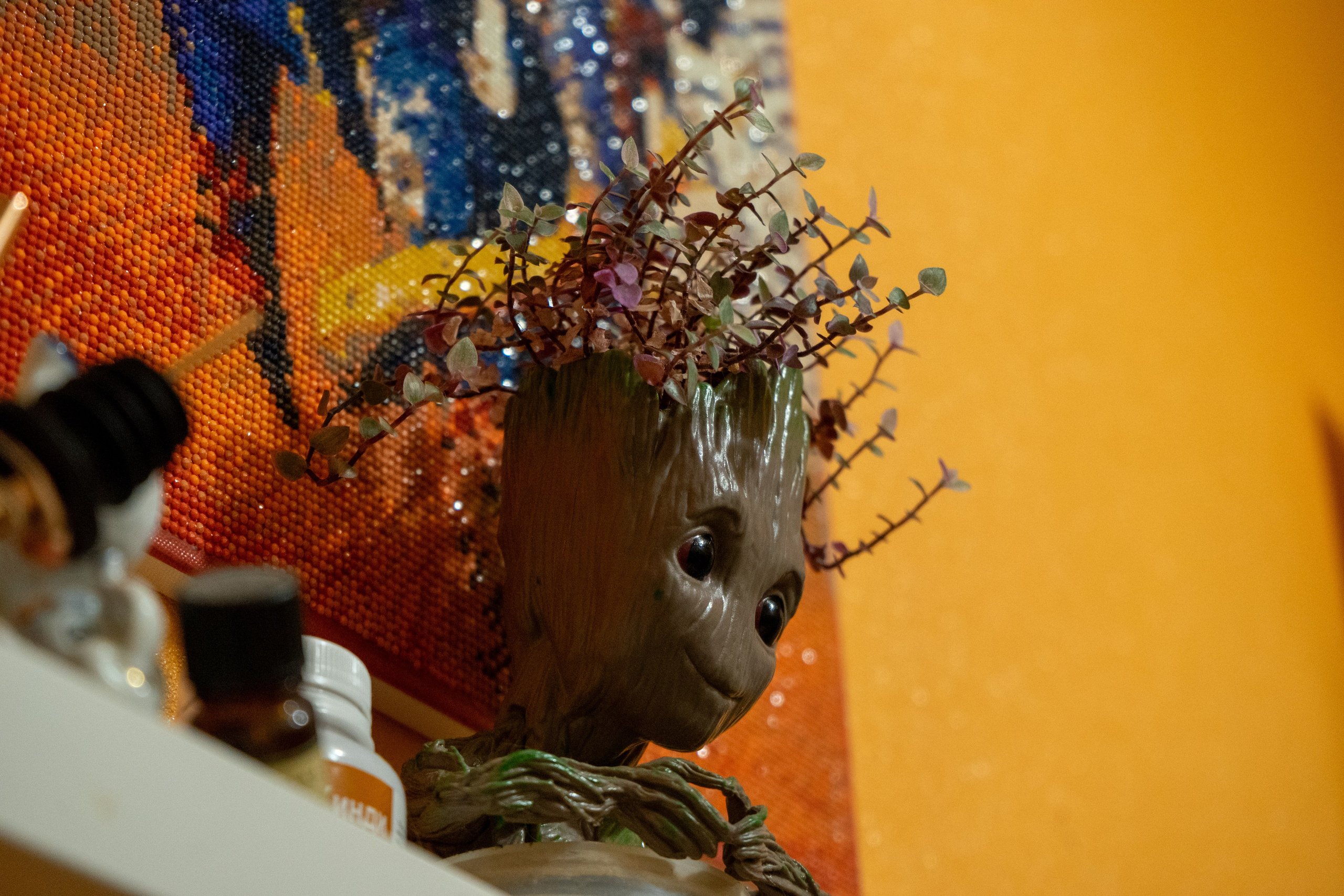 Портфолио. Фотограф из Чистополя