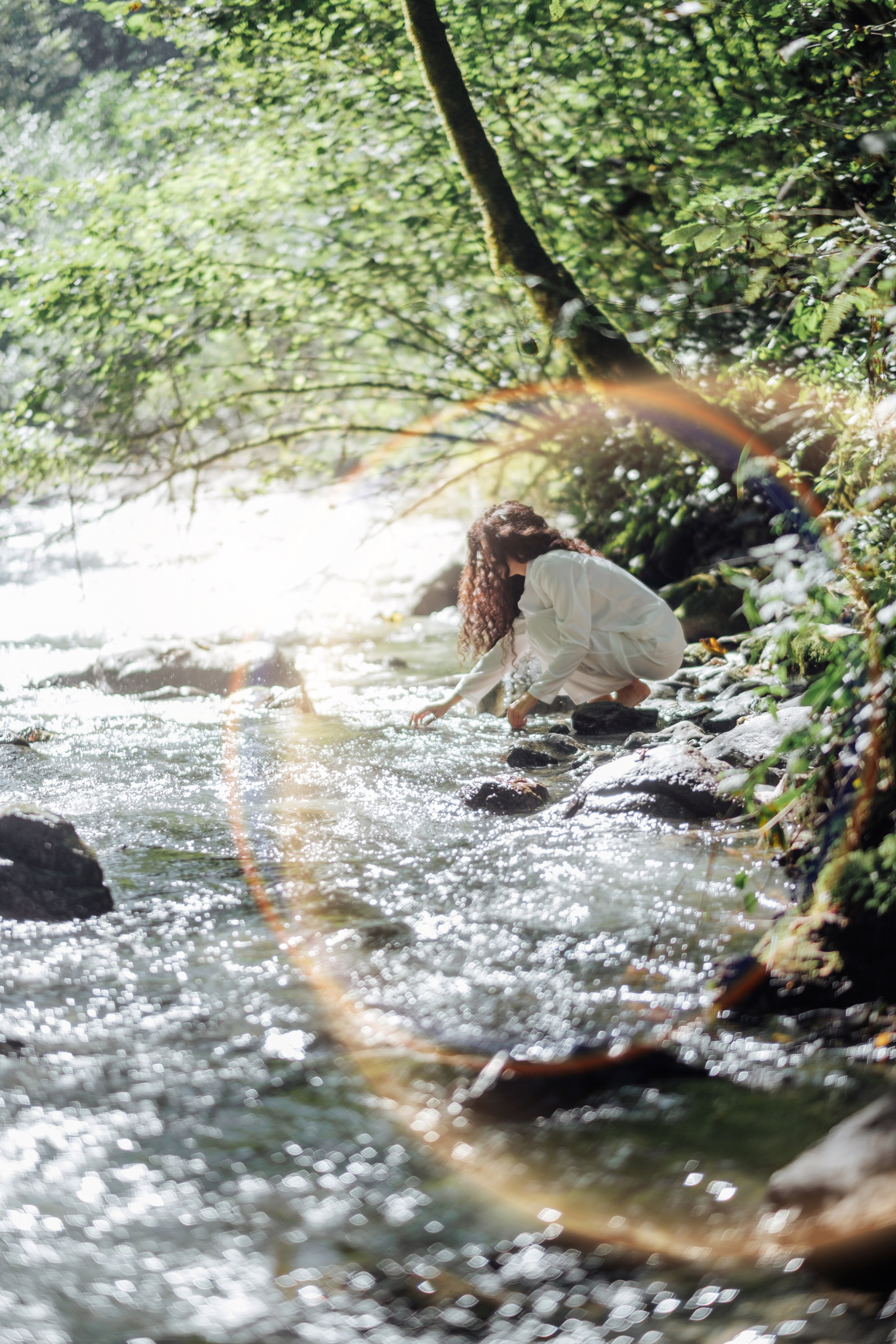 Кот и Дракон. Свадебный Видеограф Фотограф в Сочи