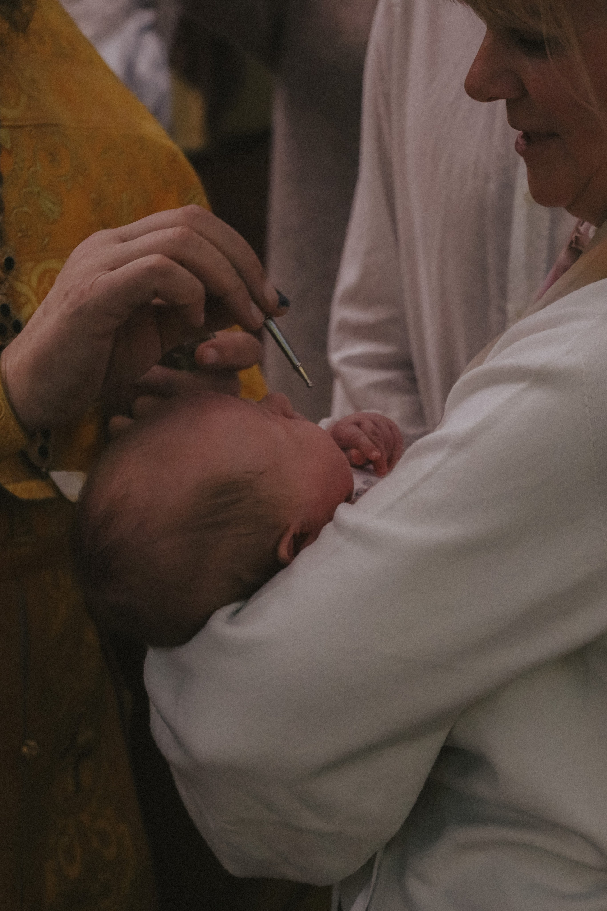 Алиса. Никонорова Анастасия