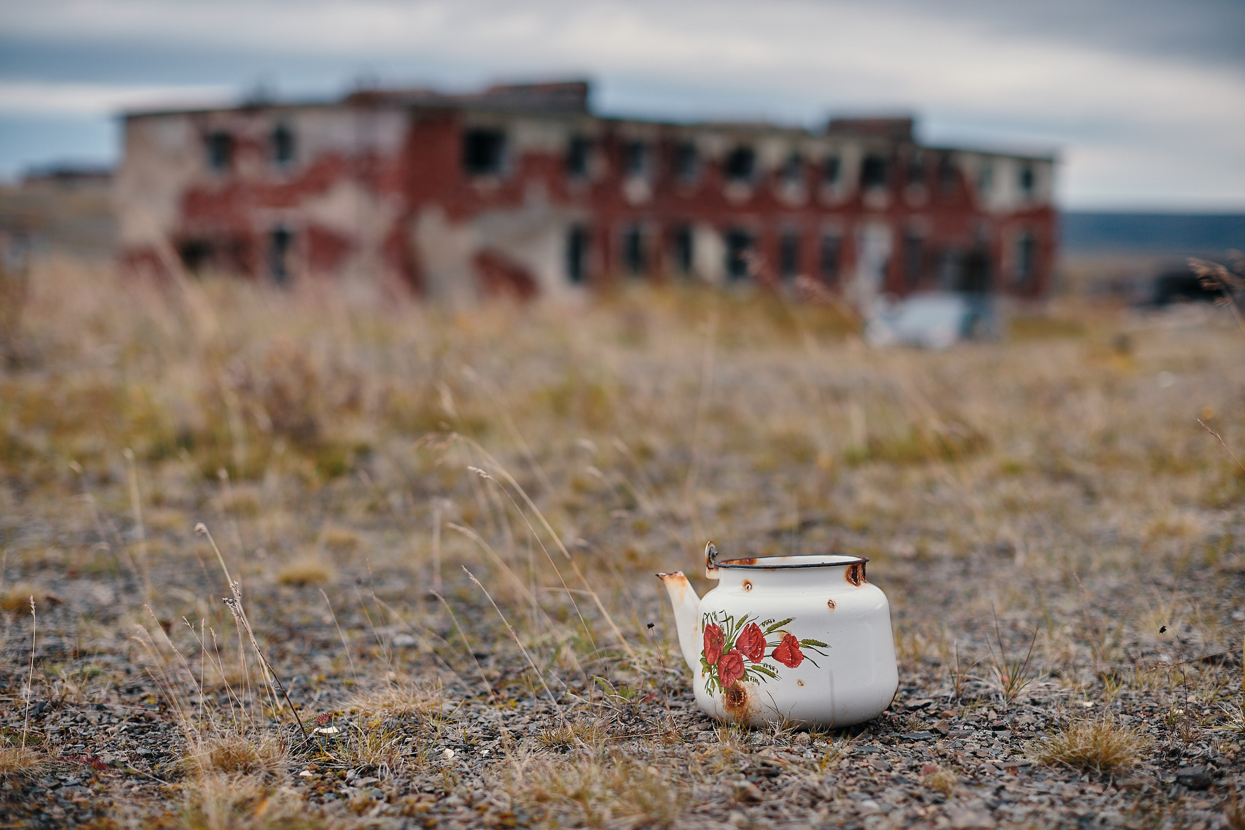 Рыбачий 2023. Место силы. Фотограф Валерий Сабрам