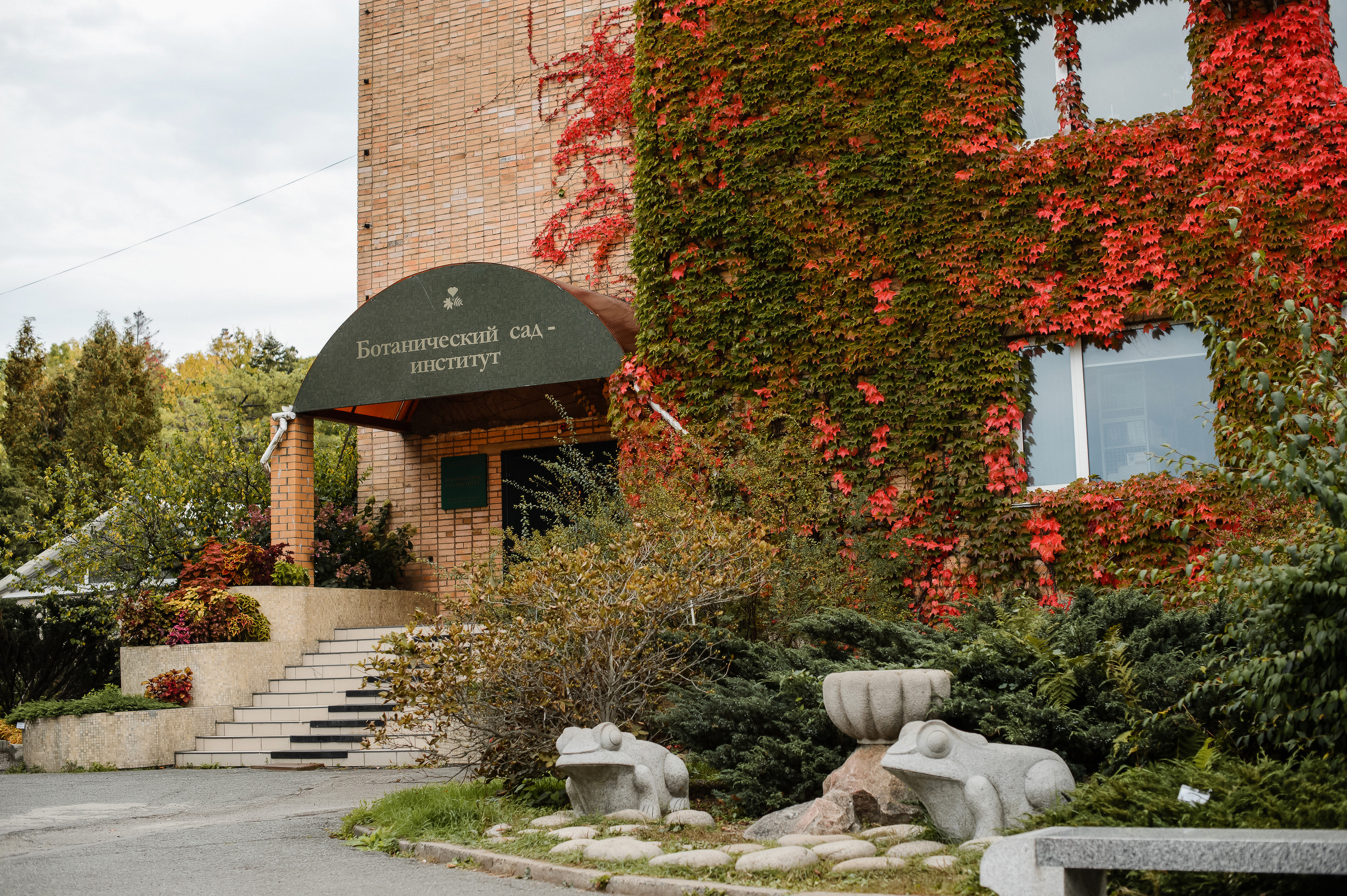 Григорий Вероника и Торт. Фотограф Владивосток. Игорь Кирсанов