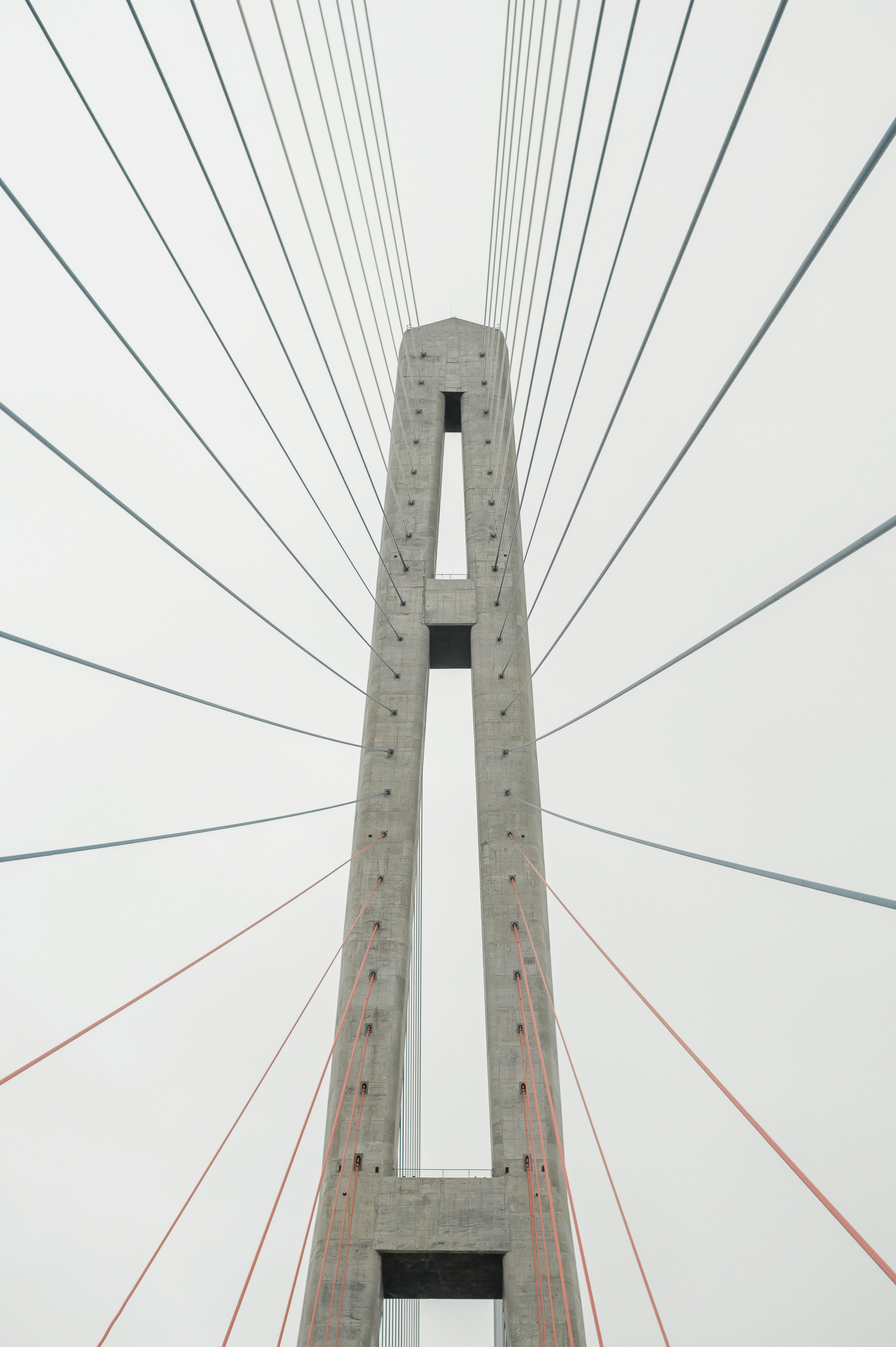 Роза Макс. Яркая свадьба с эпичным финалом. Фотограф Владивосток. Игорь Кирсанов