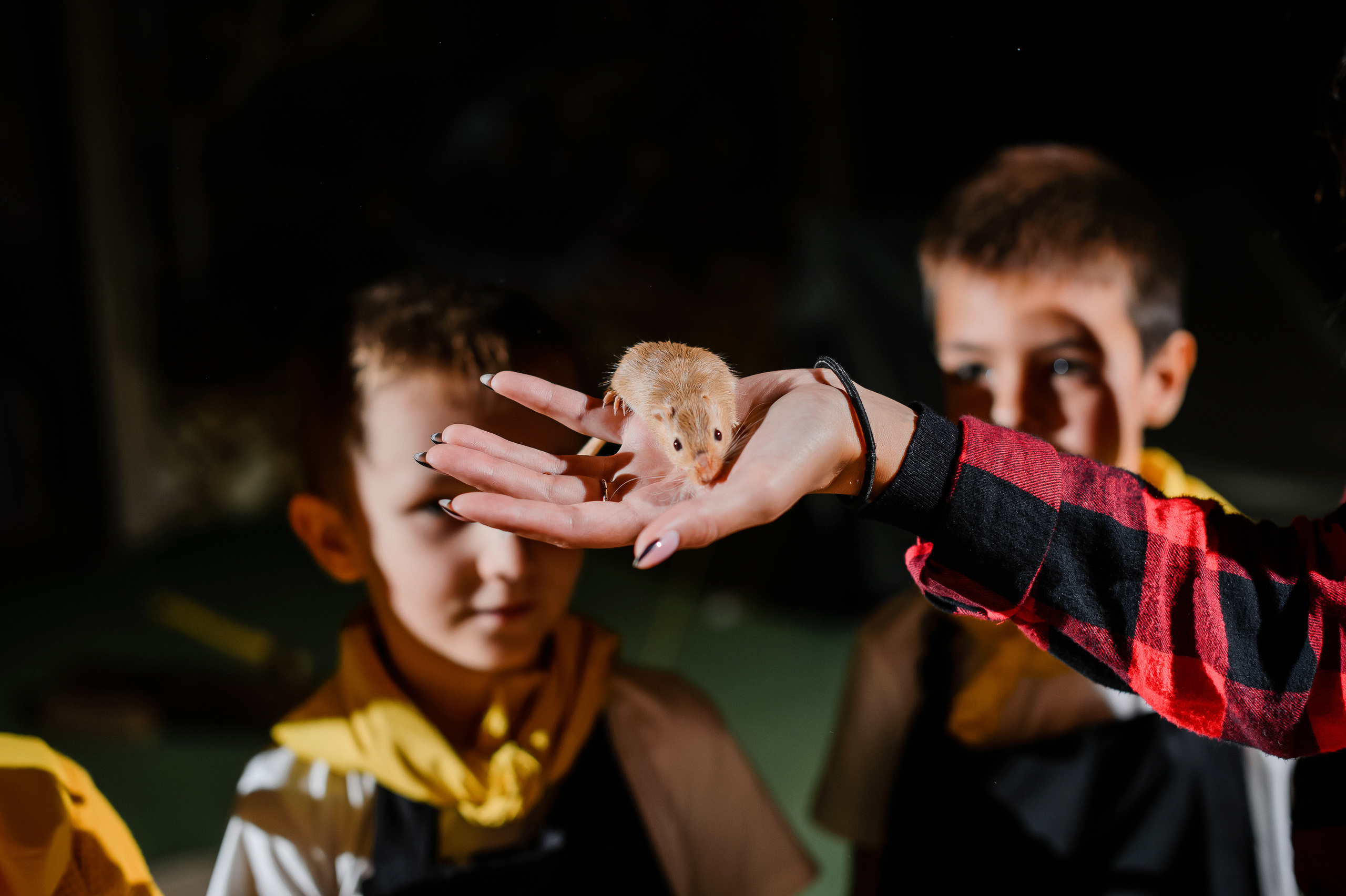 День Рождение на Диком диком западе. Фотограф Владивосток. Игорь Кирсанов