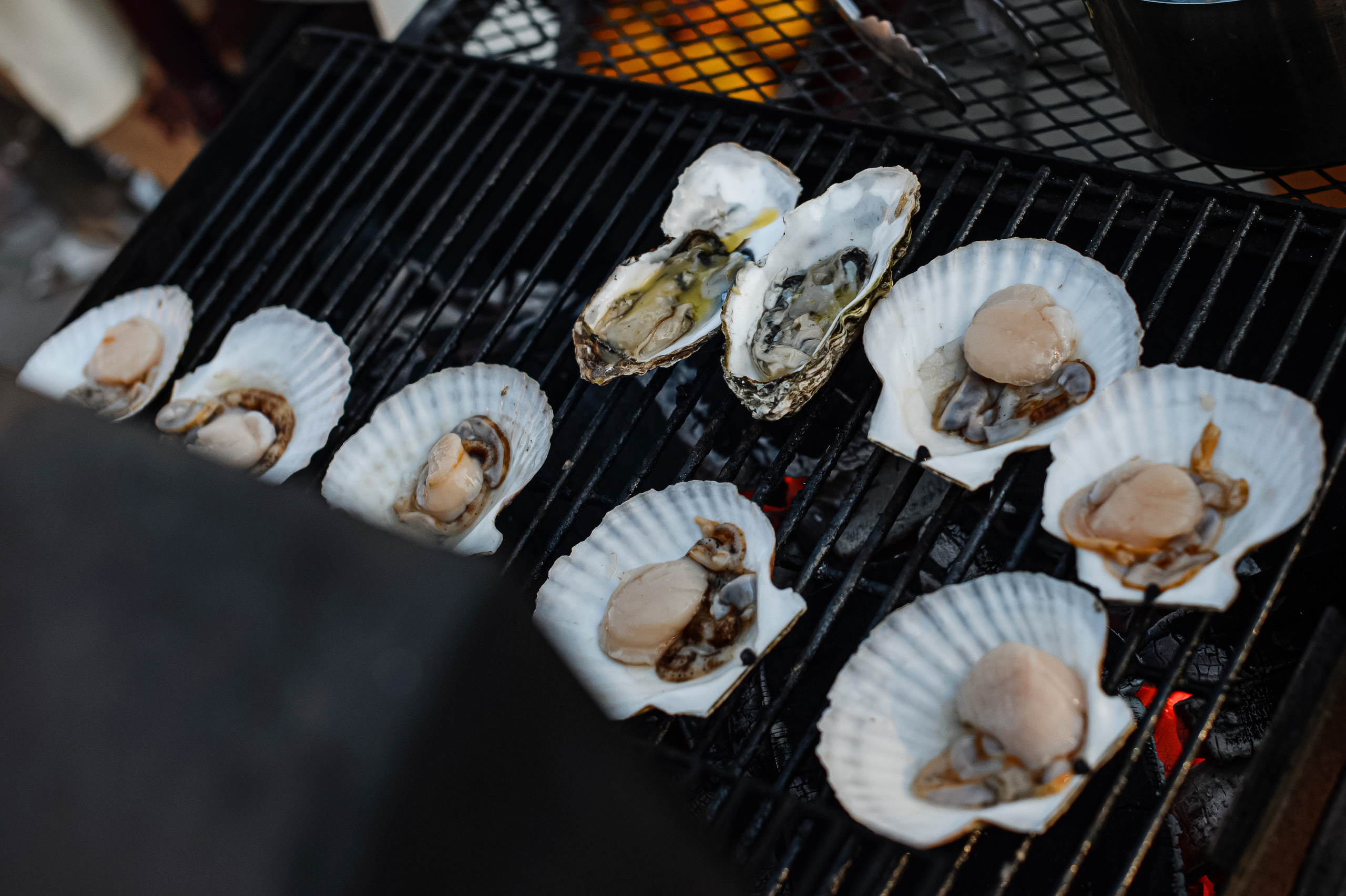 ВЭФ. РДЖ Медицина. Фотограф Владивосток. Игорь Кирсанов