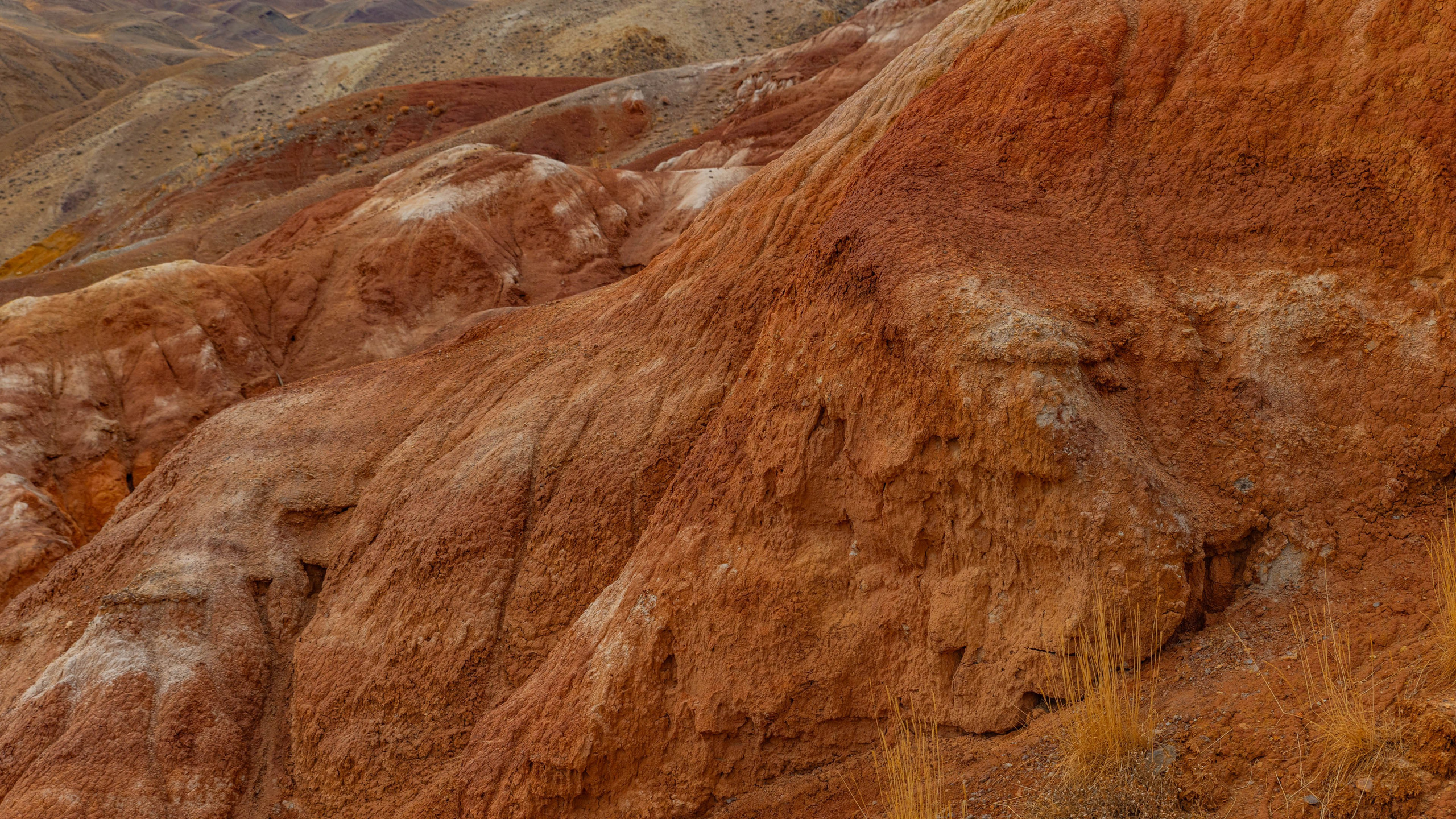 2025 09 Алтай. Чуйский тракт. Фотографии