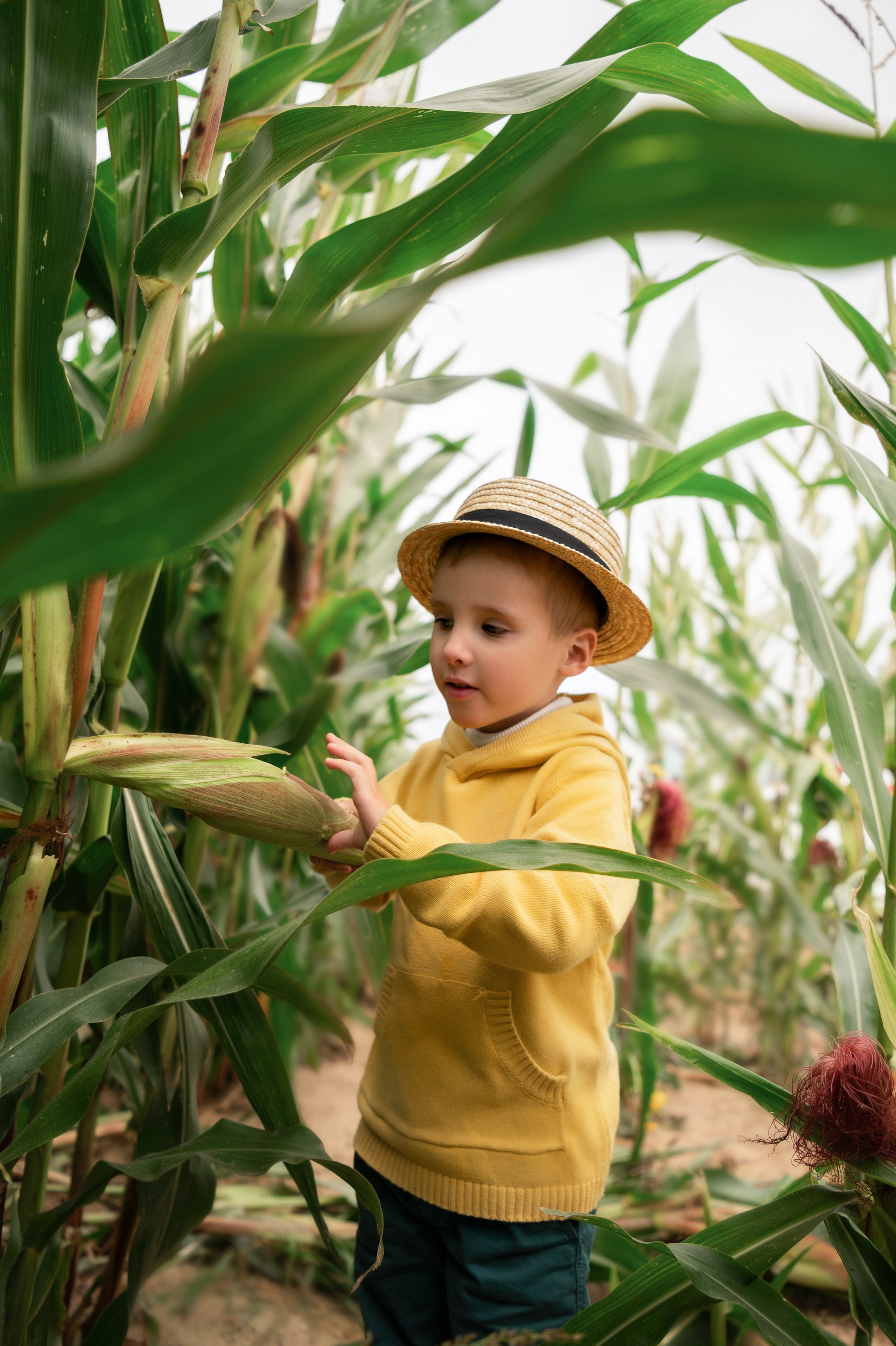 Фотосессия в кукурузе. Детский и семейный фотограф г. Москва Оксана Катаджи