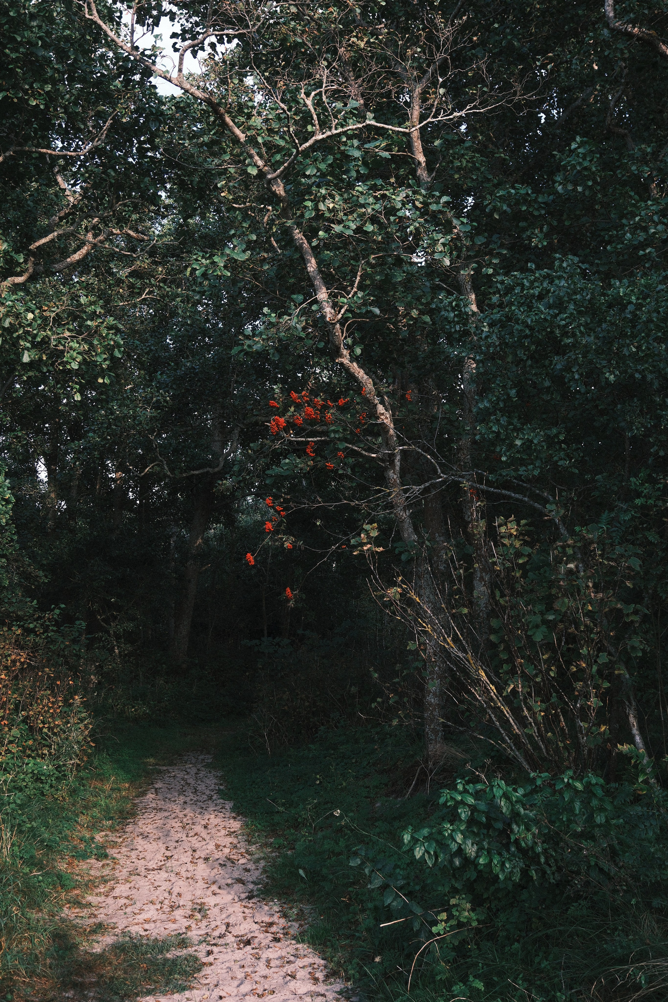 Koenigsberg. M. Neizvestniy — уличная и спортивная фотография