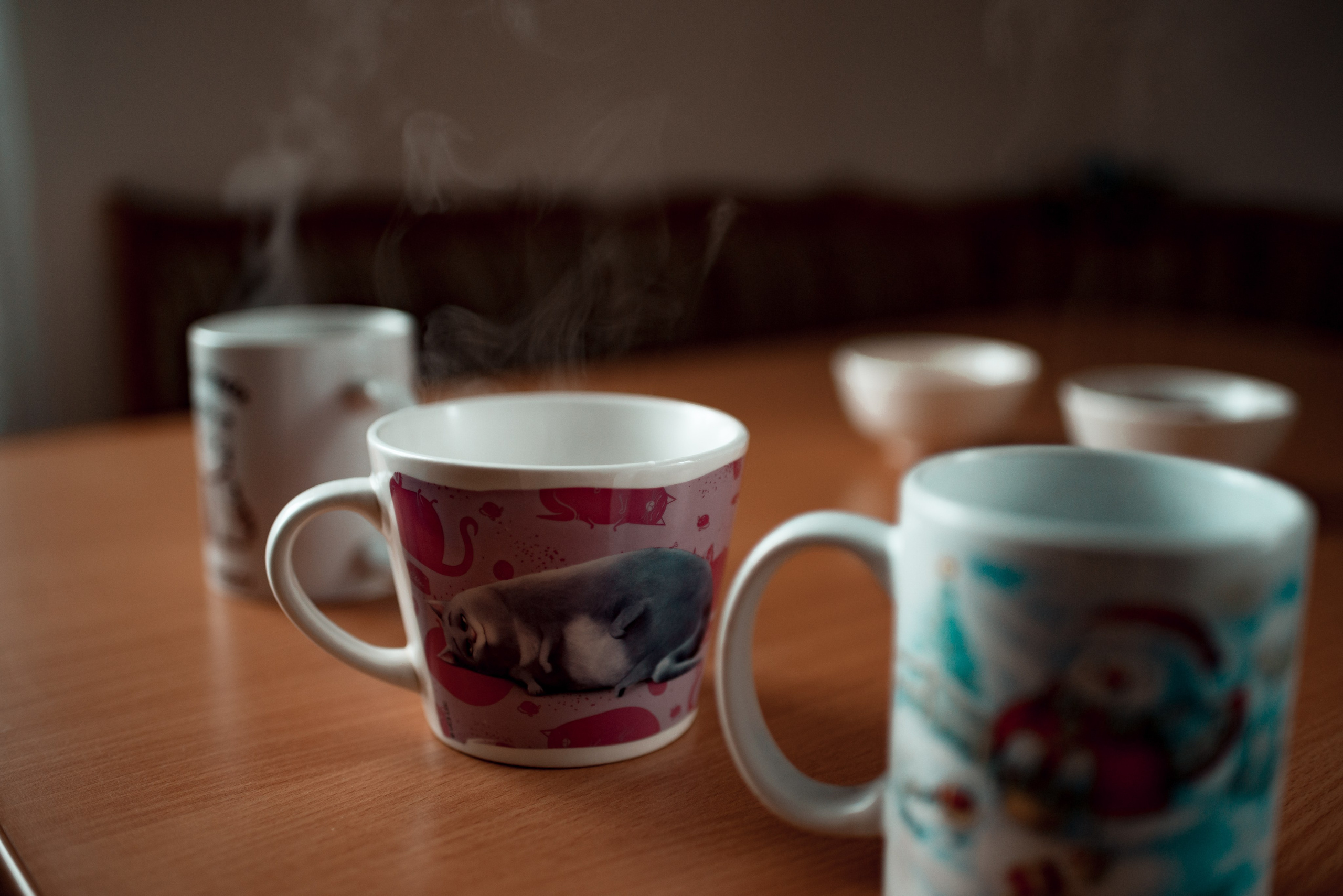 Люди. Семейный фотограф Псков. Спб.|Анастасия Войналович