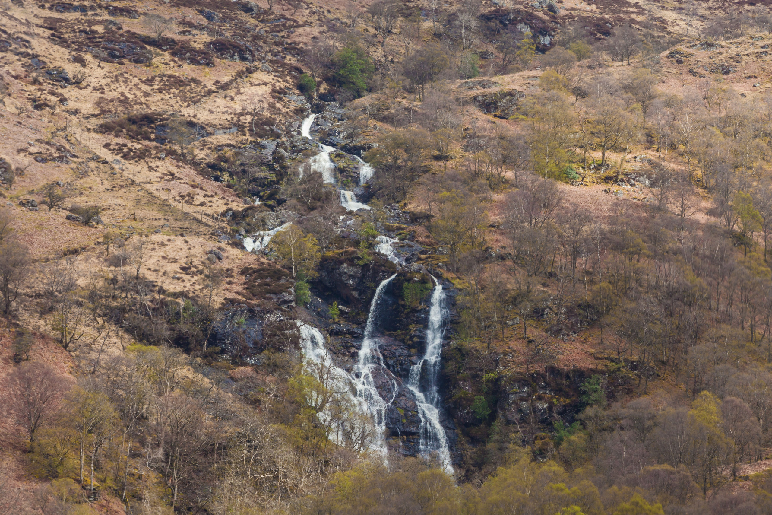 ШОНТЛАДНИЯ / SCOTLAND. Главная