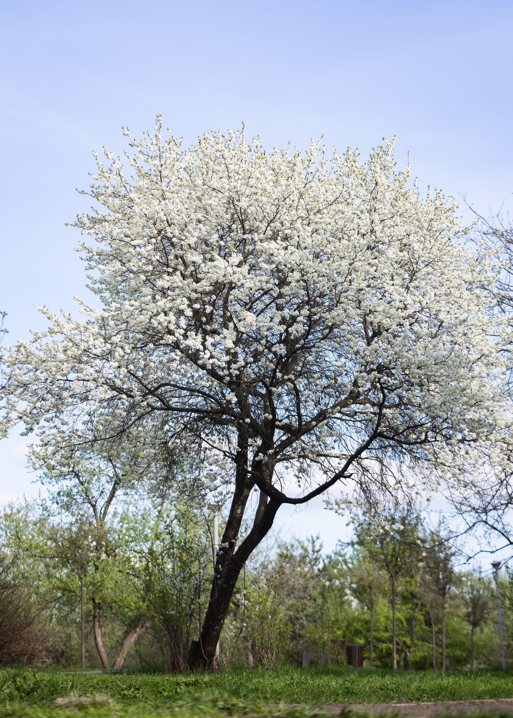 Природа. Фотограф Владимир Охрименко