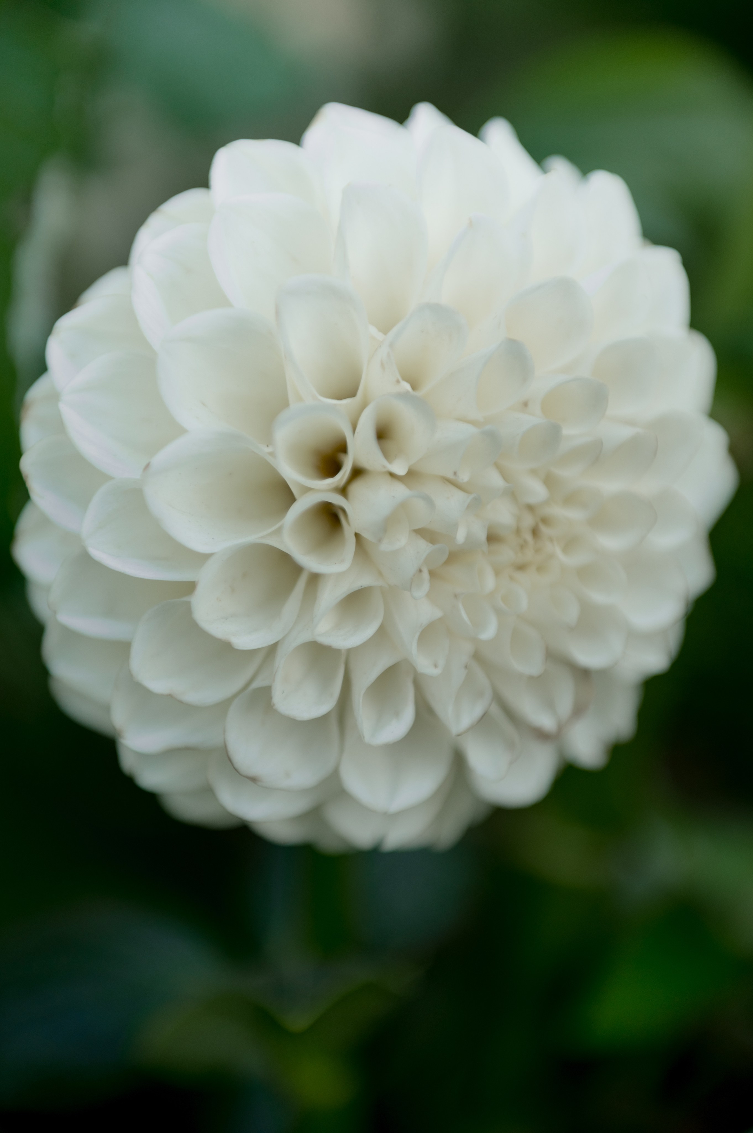 Павел и Алина. Главная