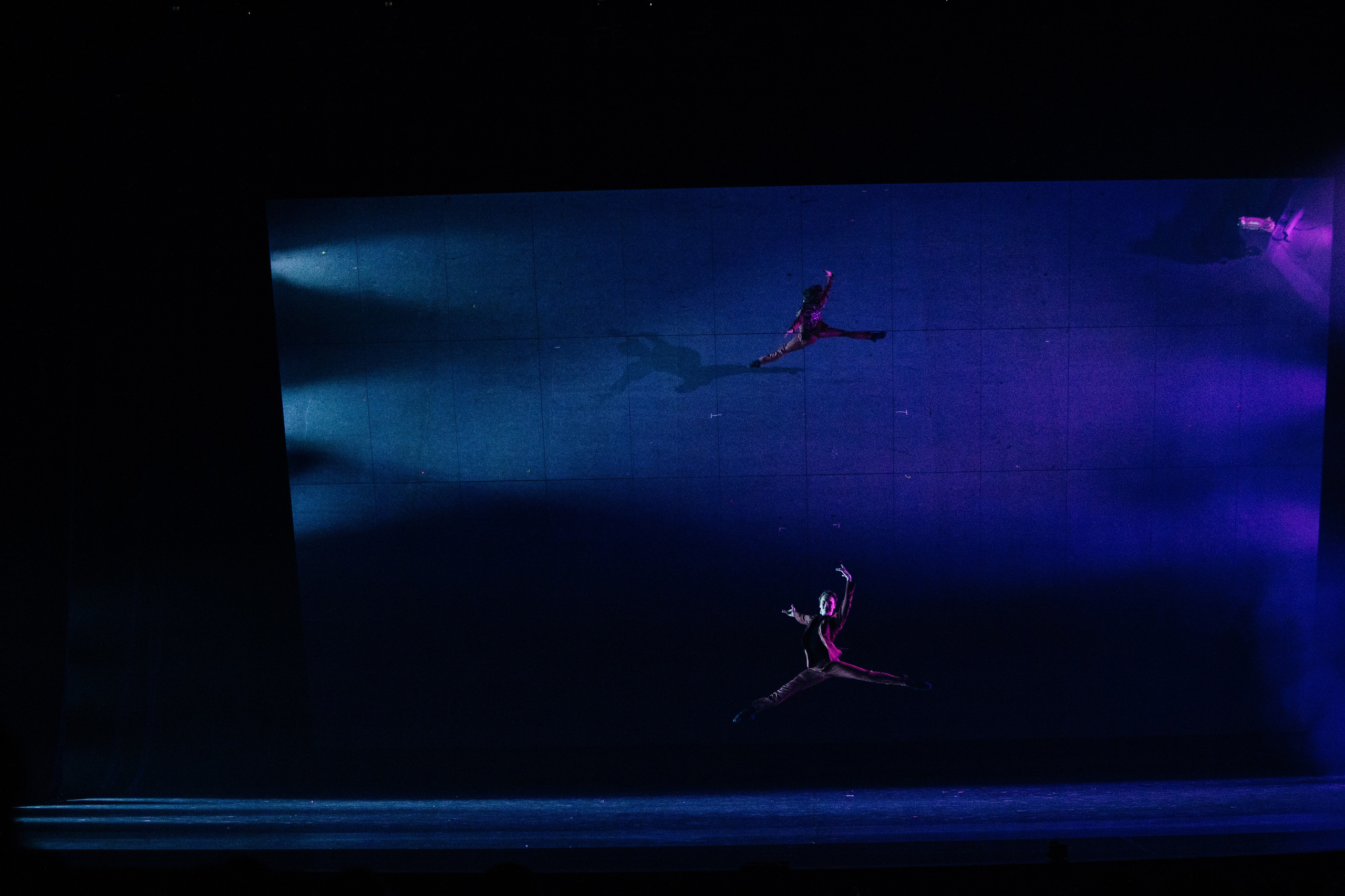 Мастер и Маргарита. Светский фотограф — Анисина Ирина